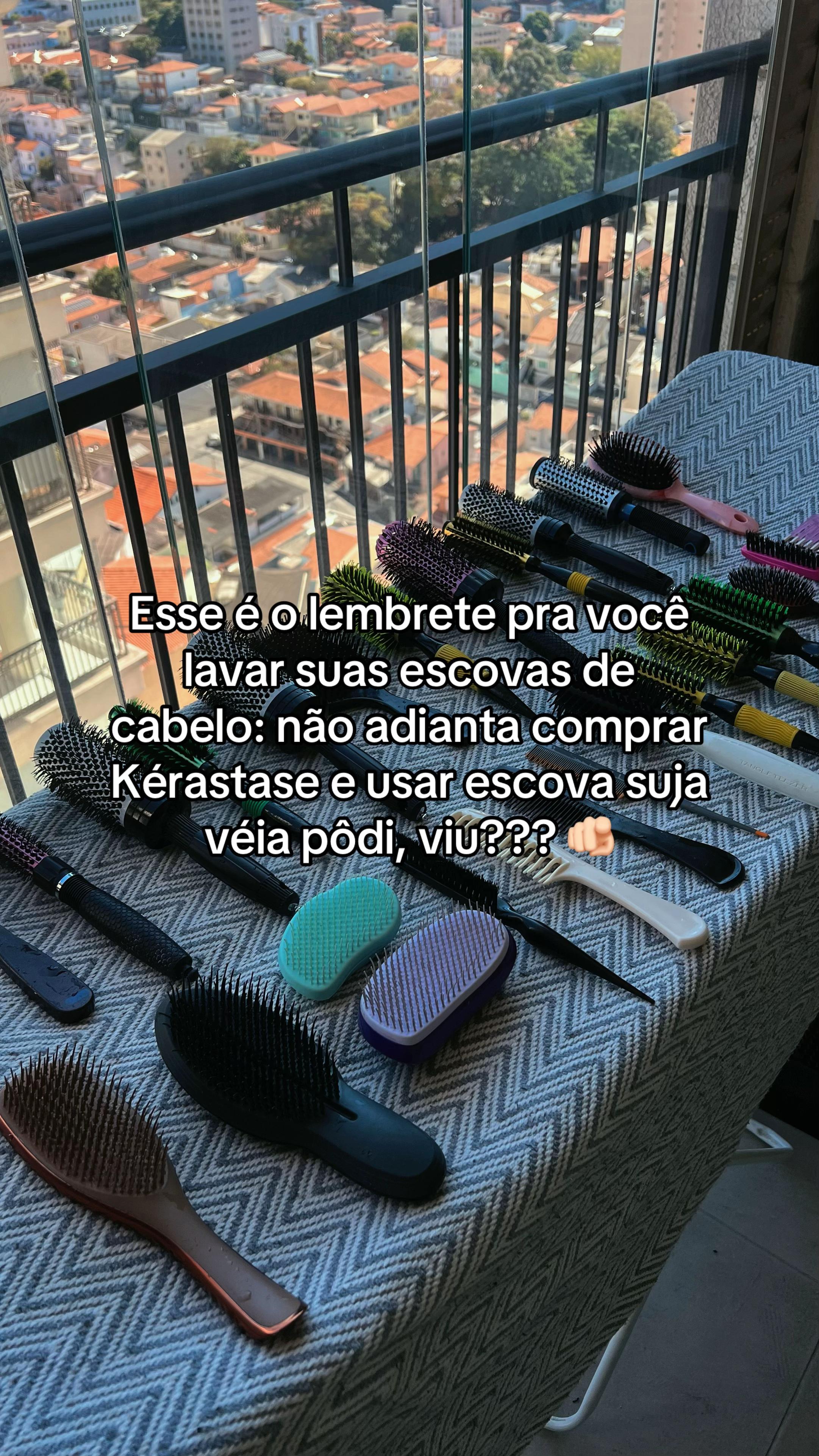 @carol rodrigues
