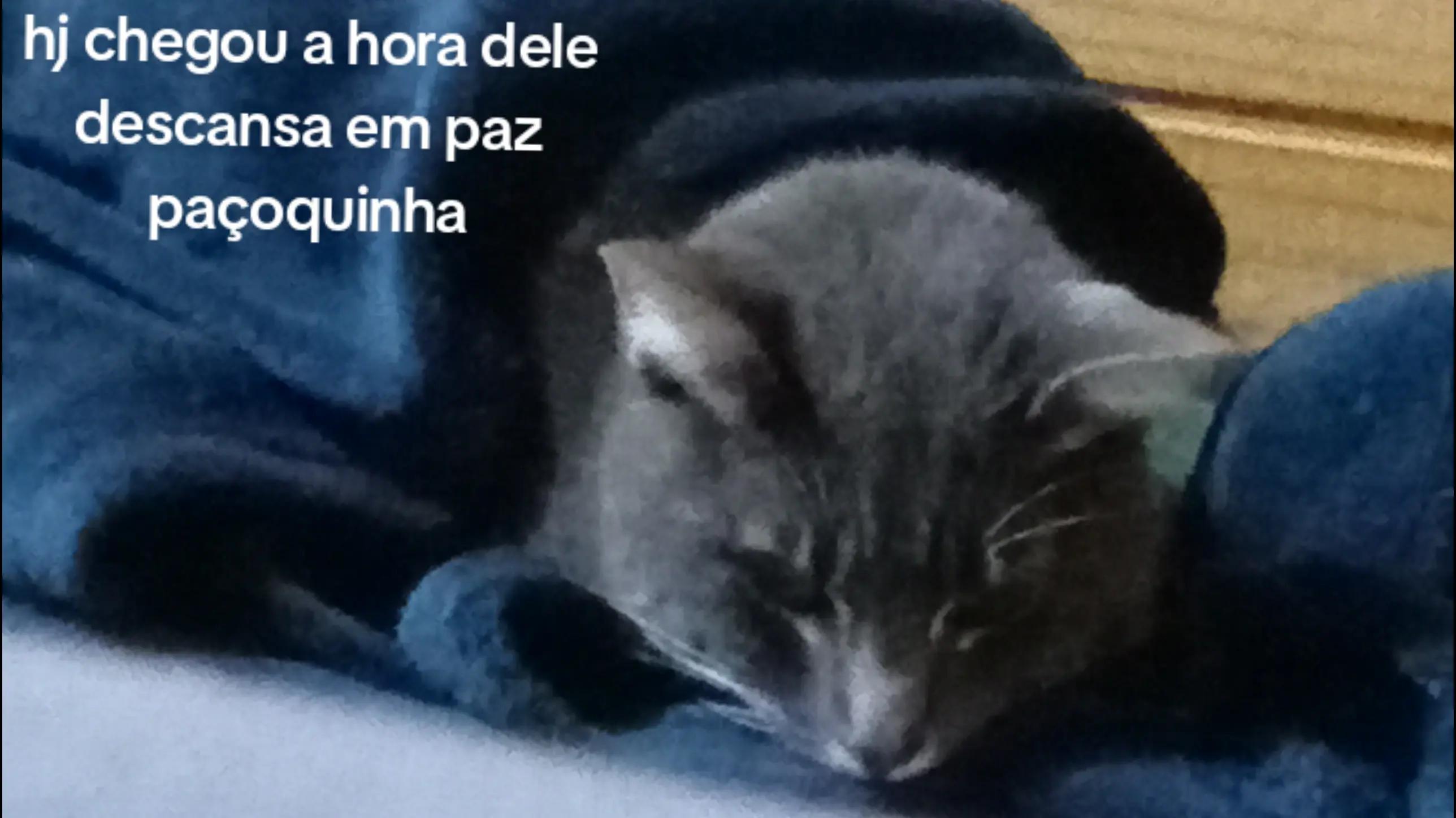 @maria helena
