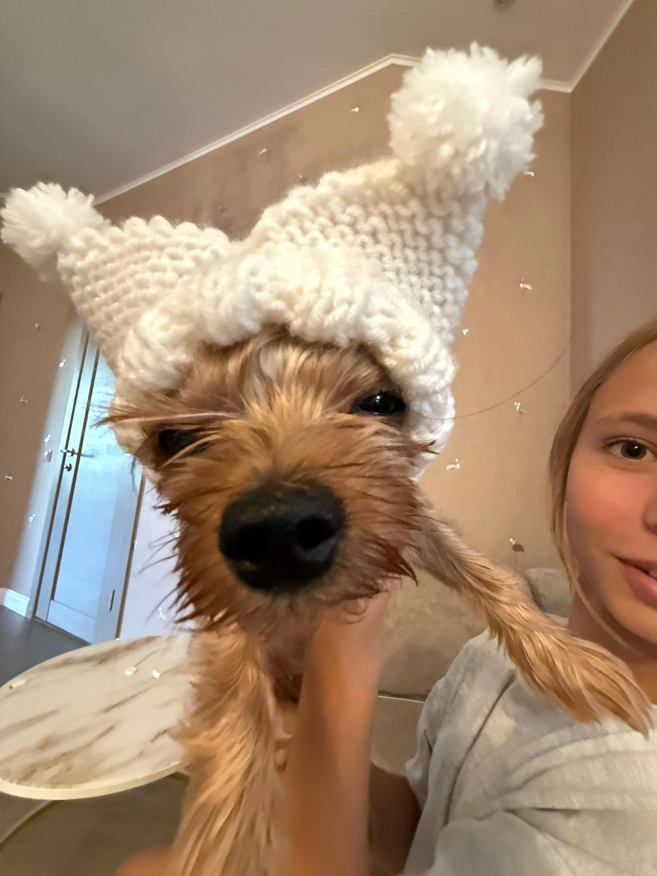 @Эу,кучерявая!🧸