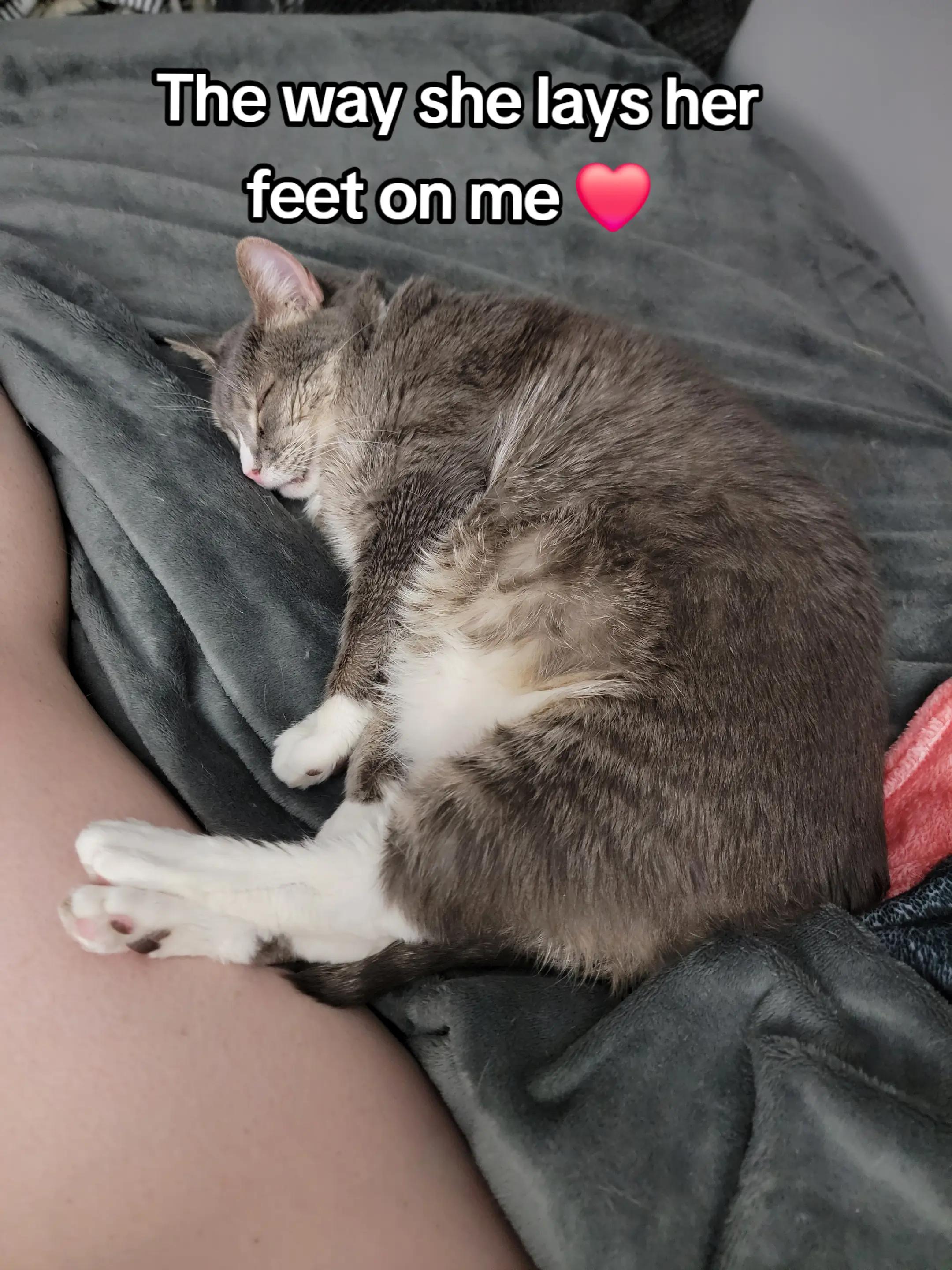 @CatCraze