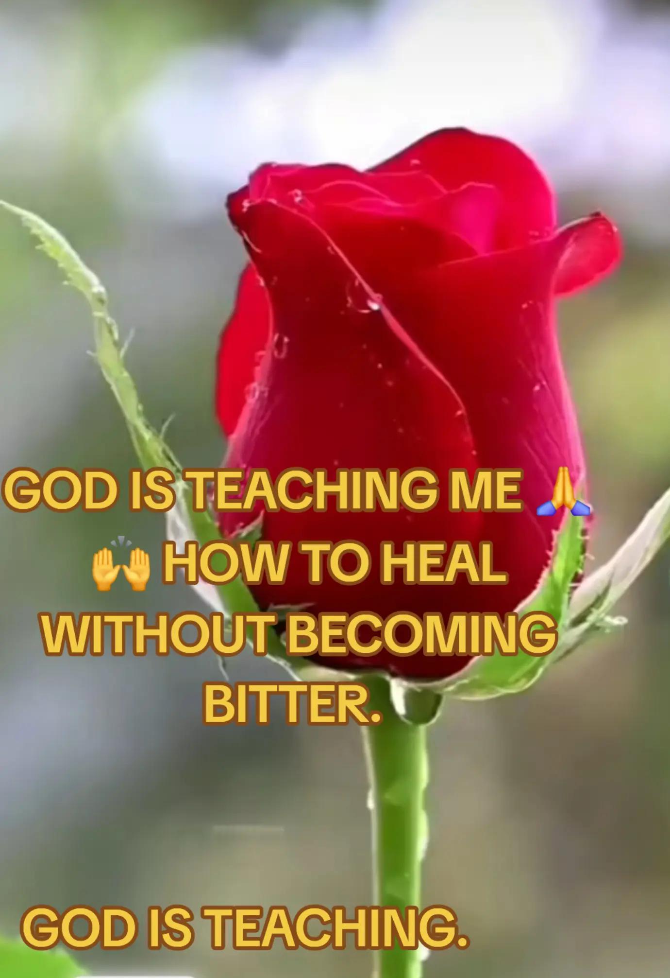 @vlogs1bymary