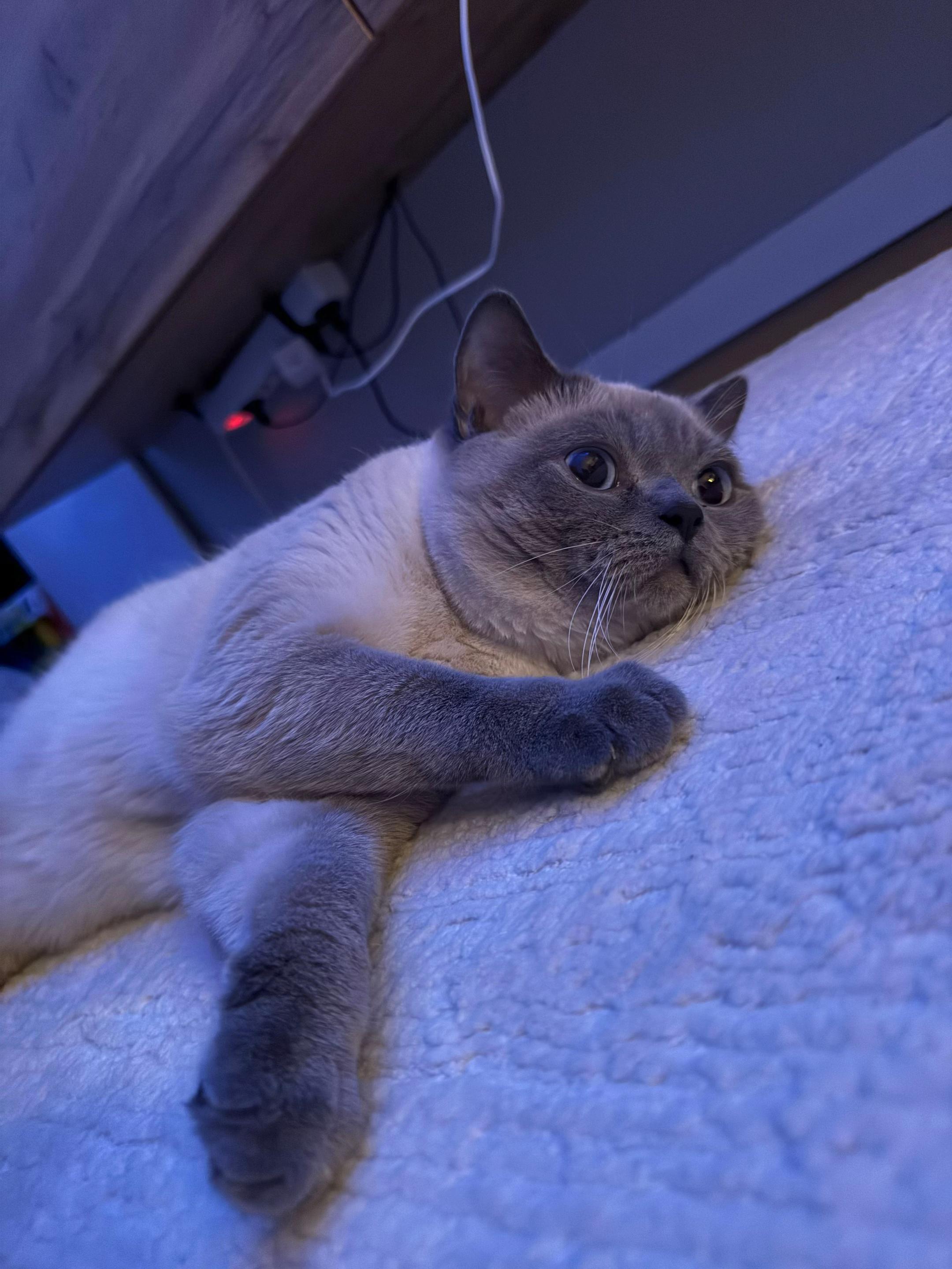 @N