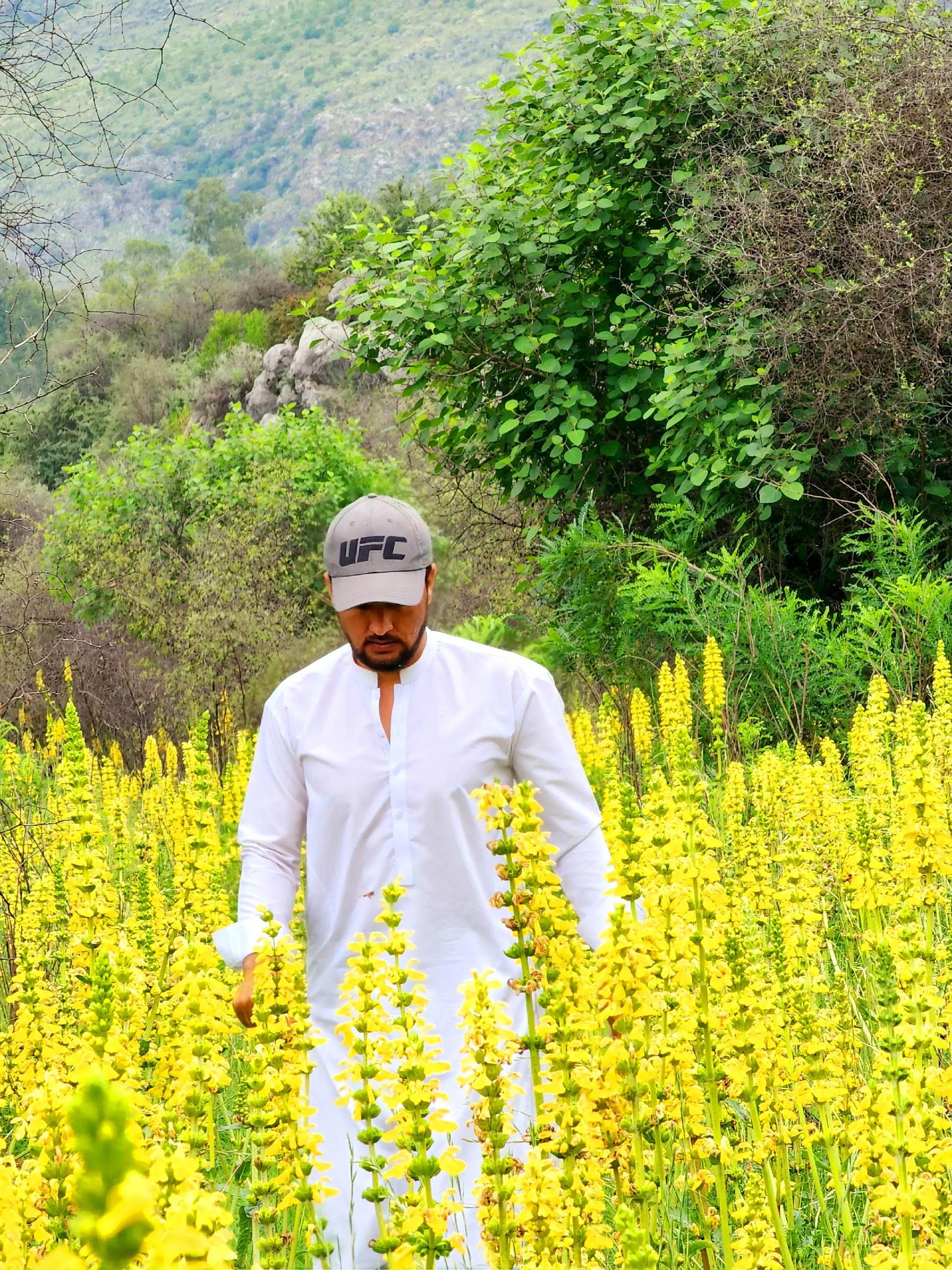 @Irshad Afridi