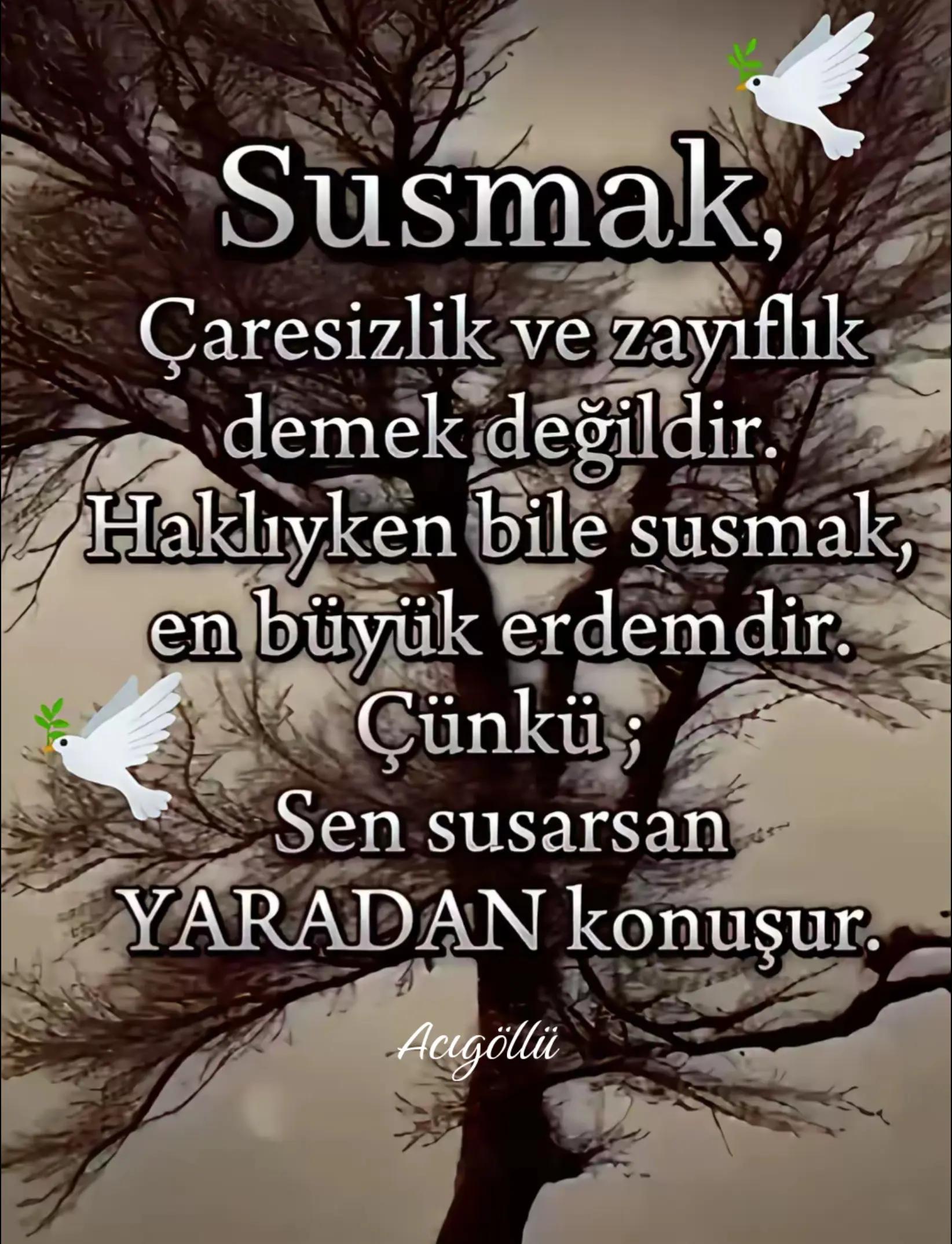 @Hacı Osman Tanrıkulu