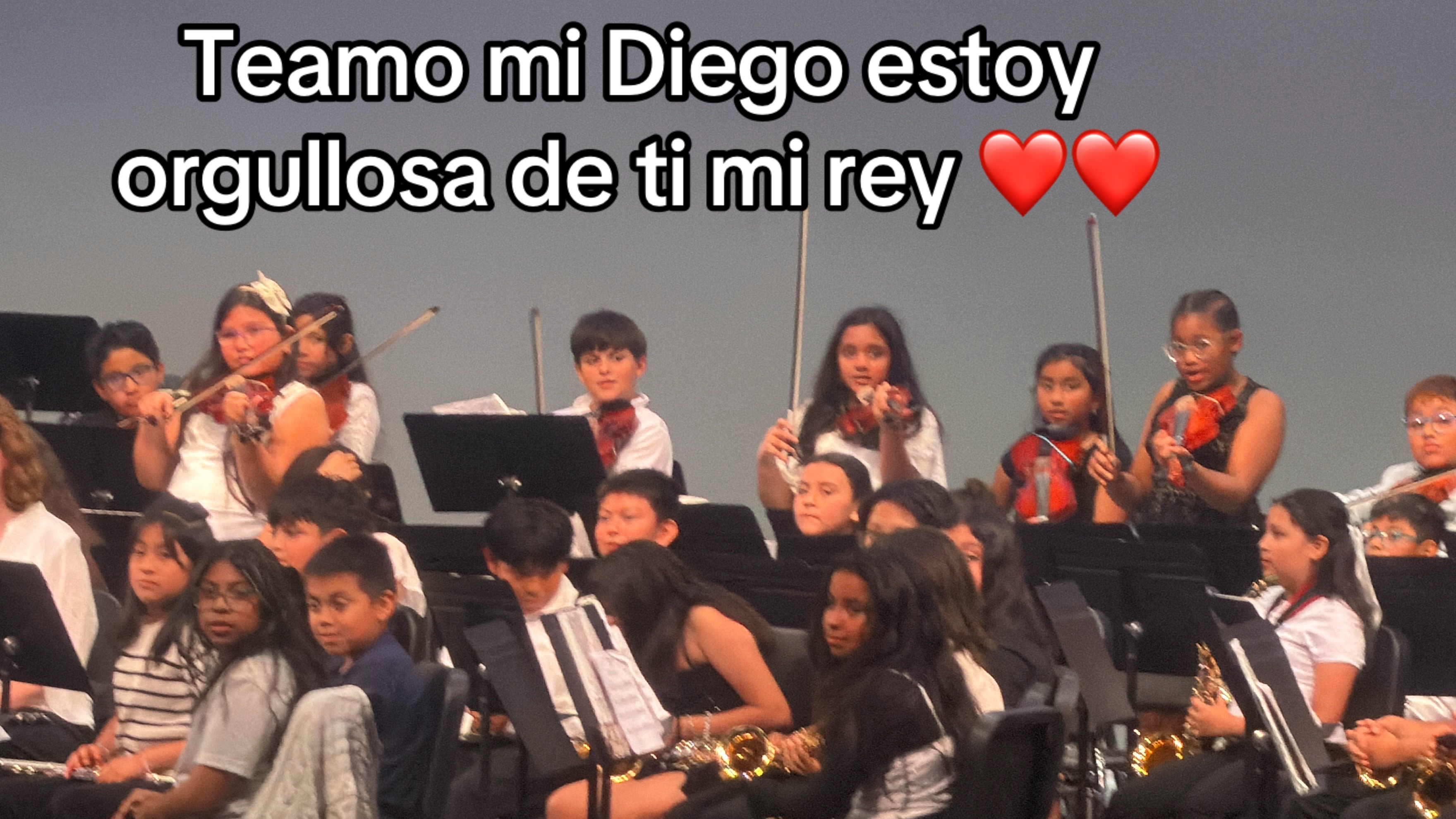 @Lupitafuentes 503