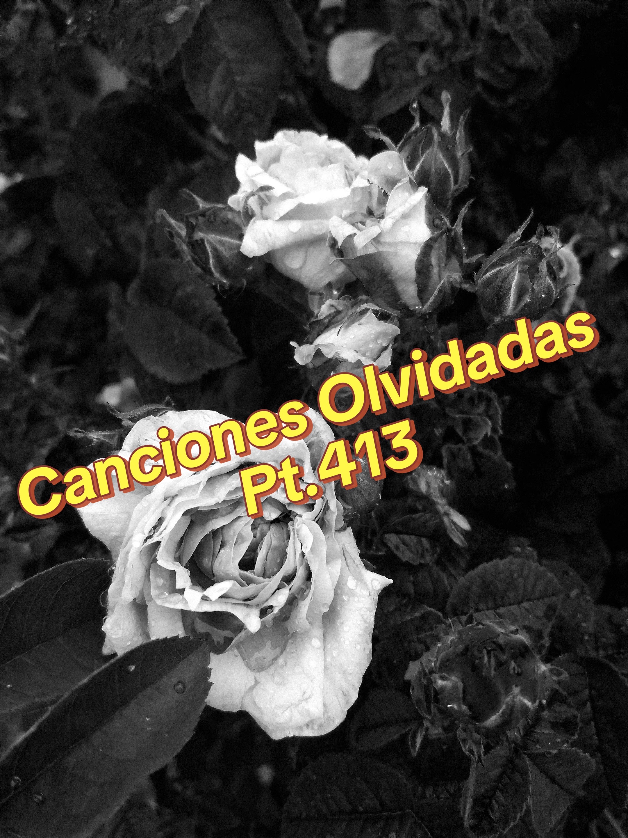 @TUDJJD