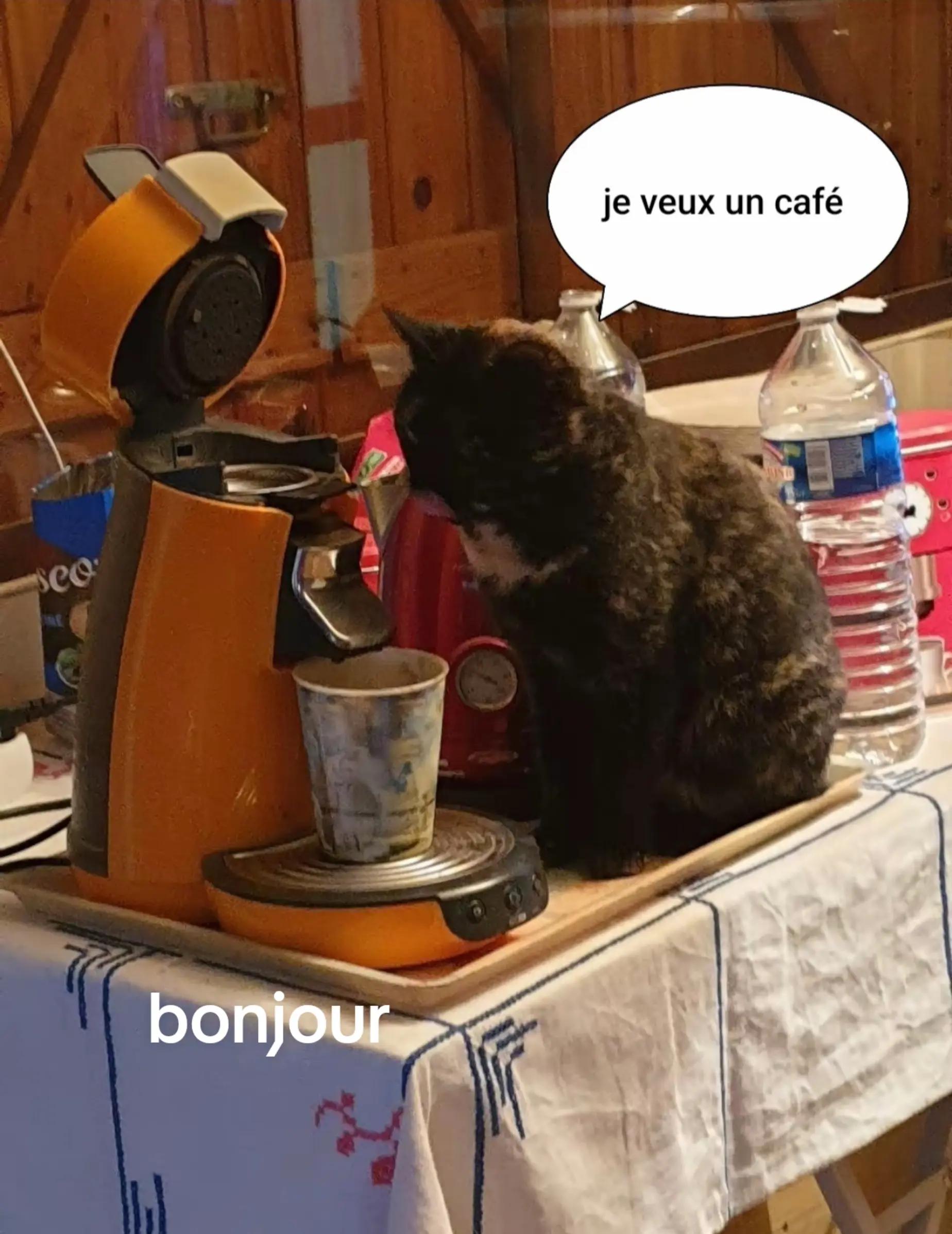@Antoine frau
