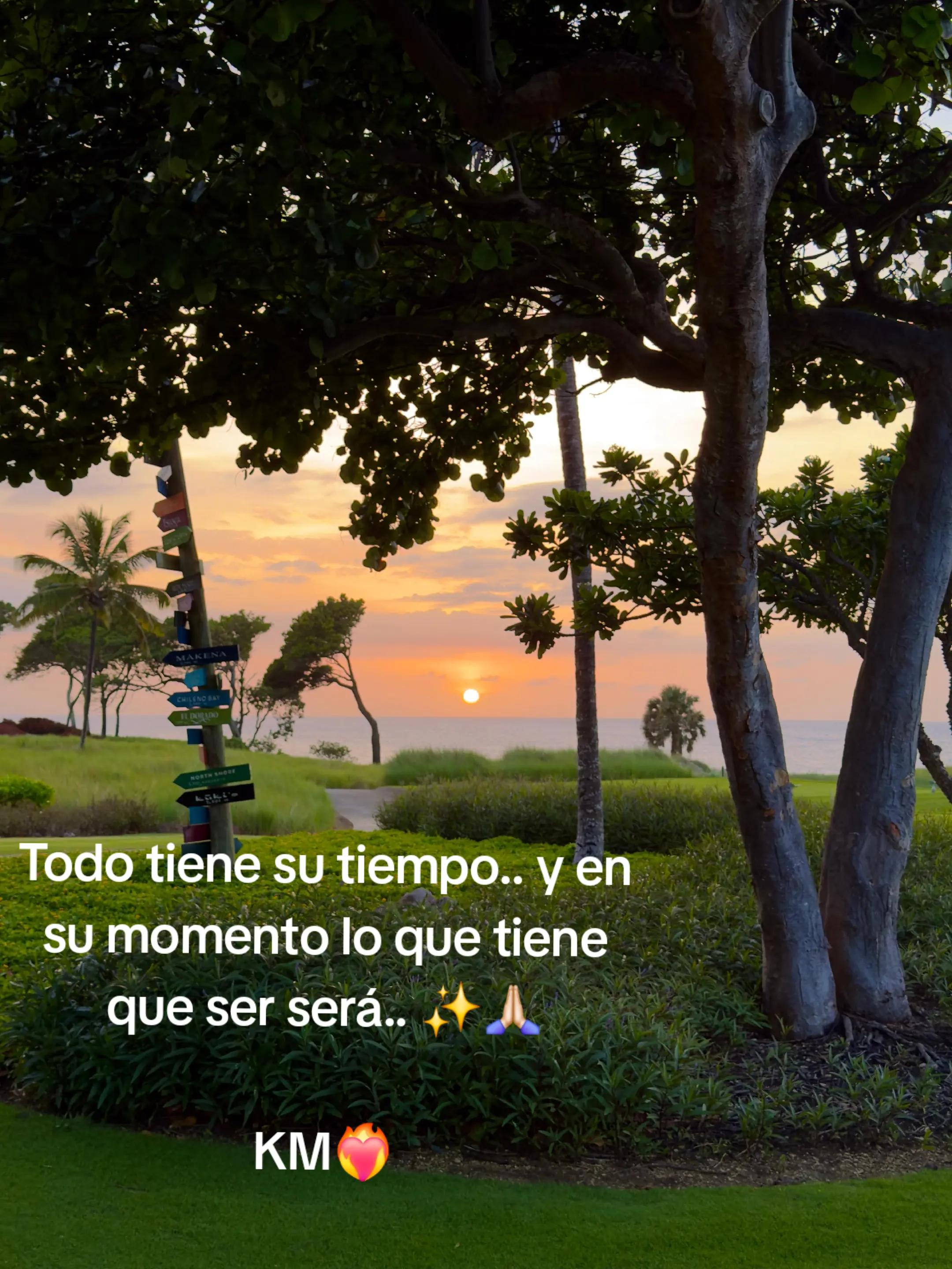 @Kildarymendez❤️🔥