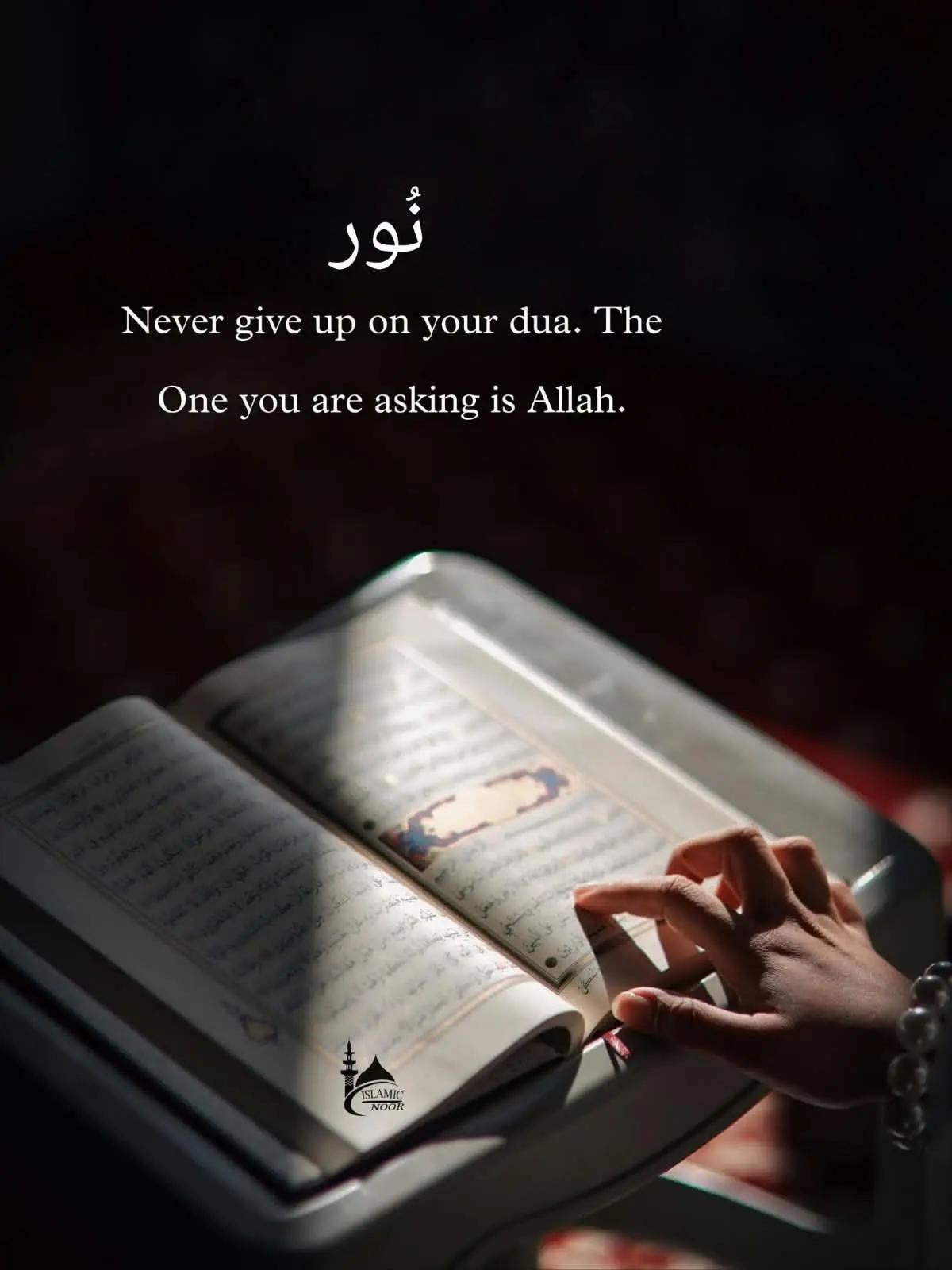 @Usama Nazir