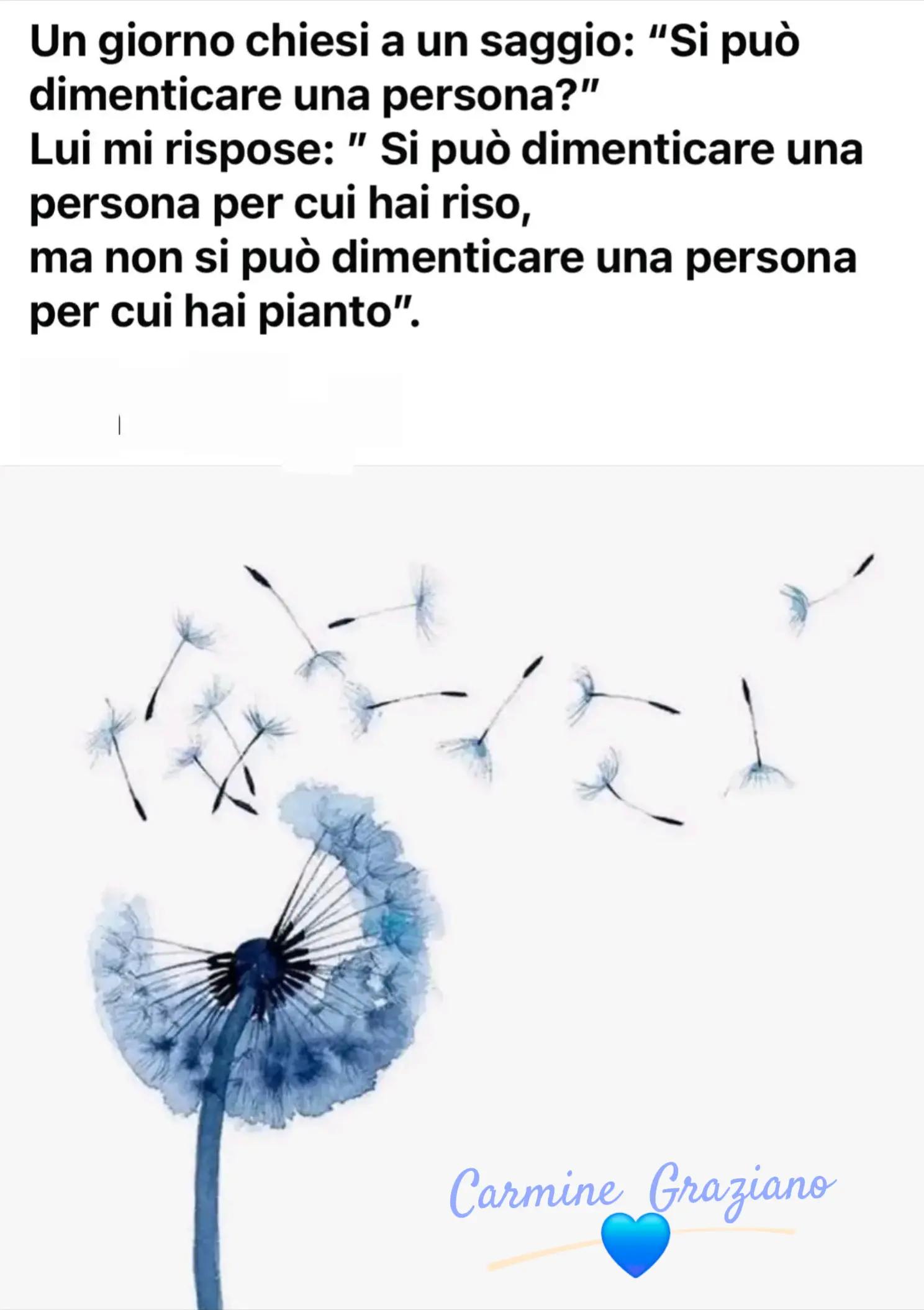 @Carmine Graziano