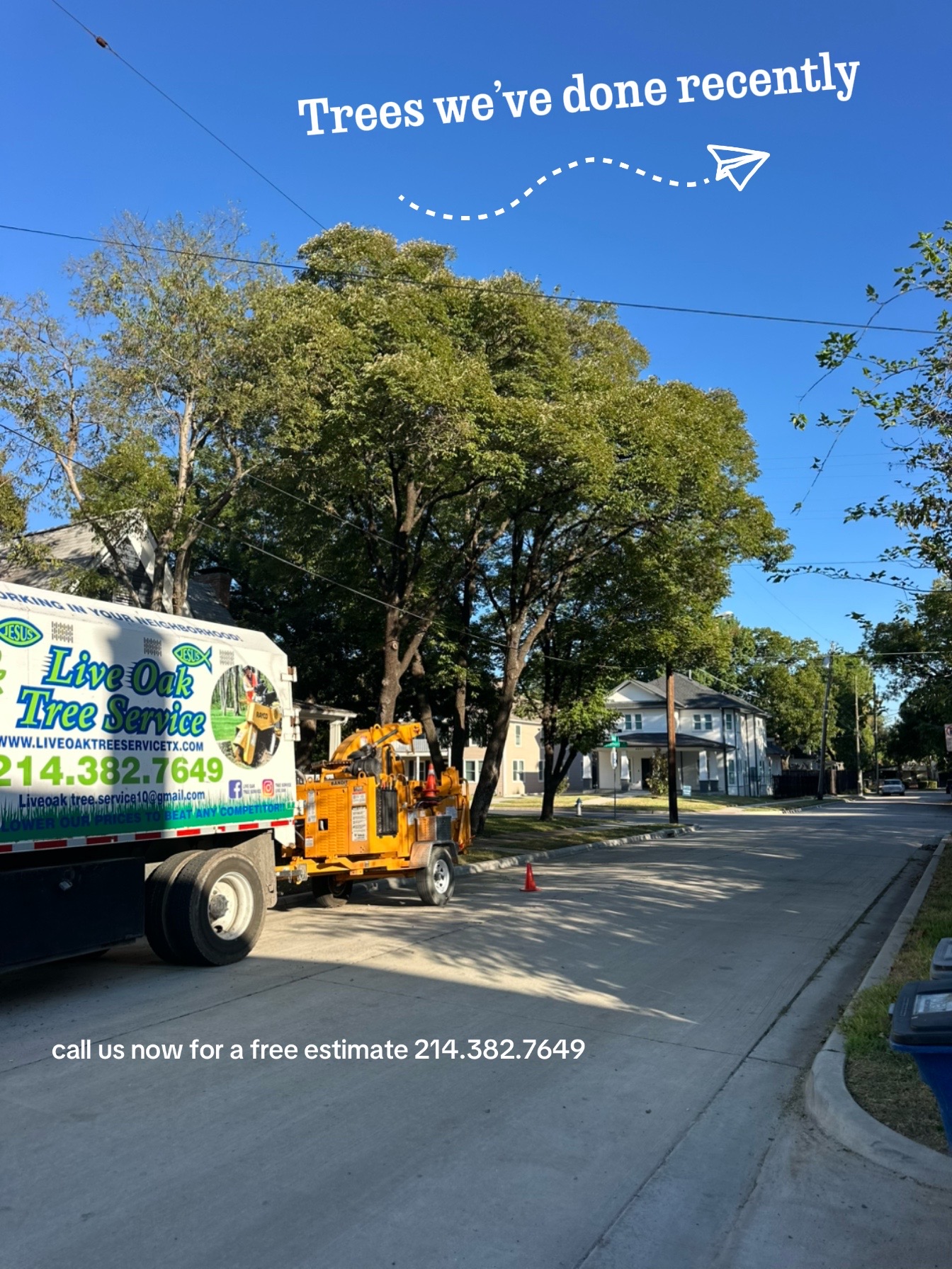 @Live Oak Tree Service