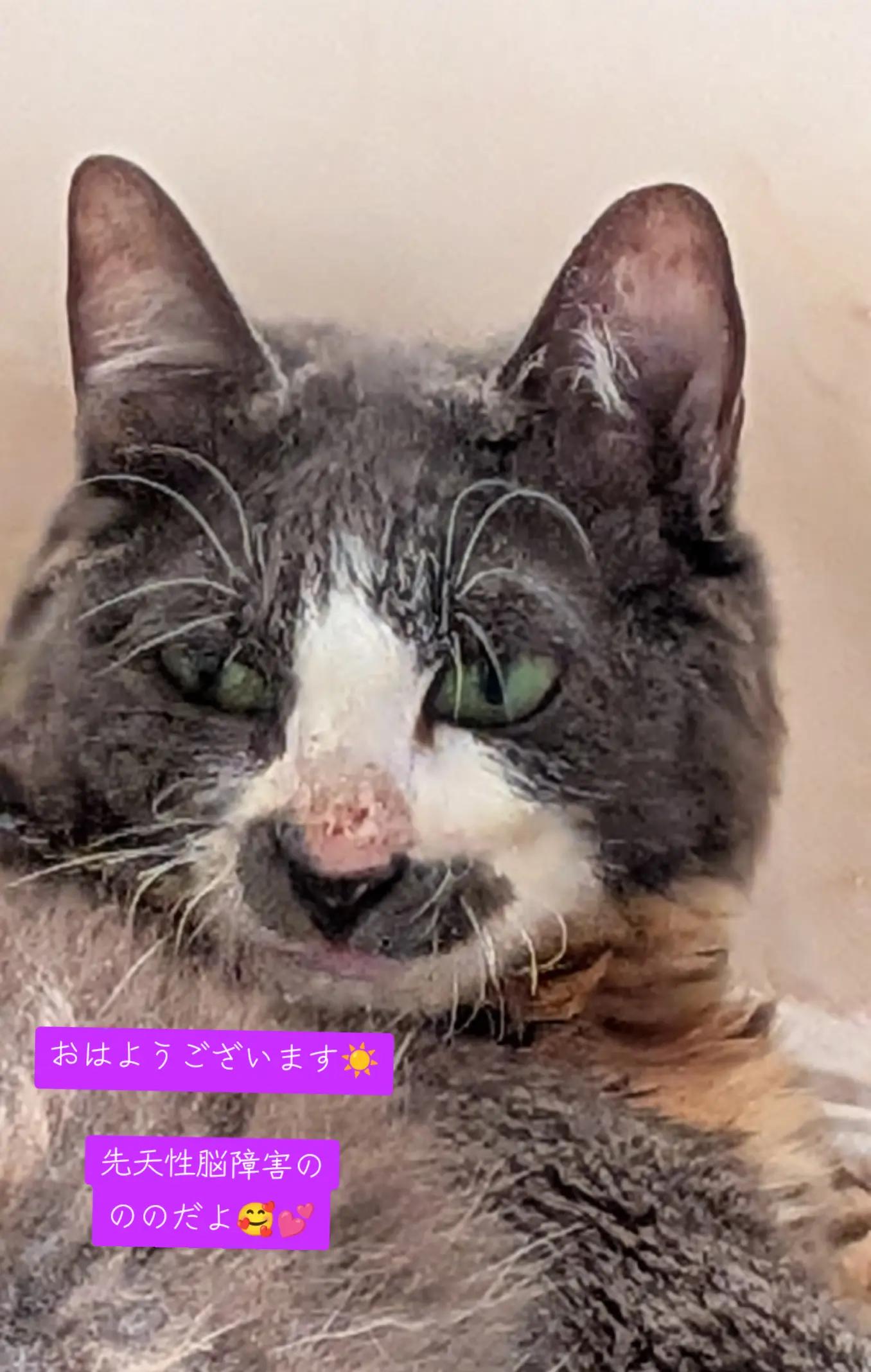 @てんきな