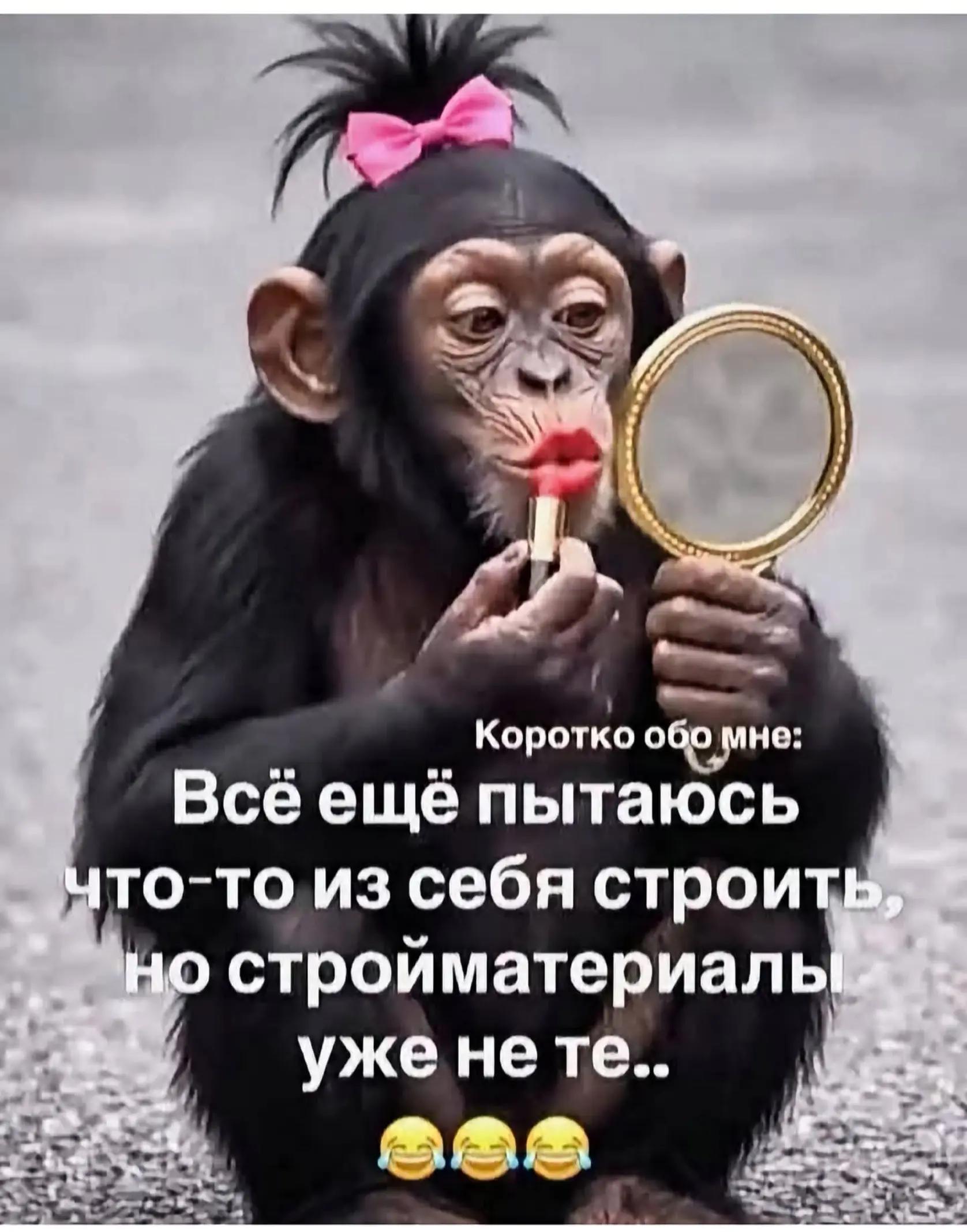@Гуляша