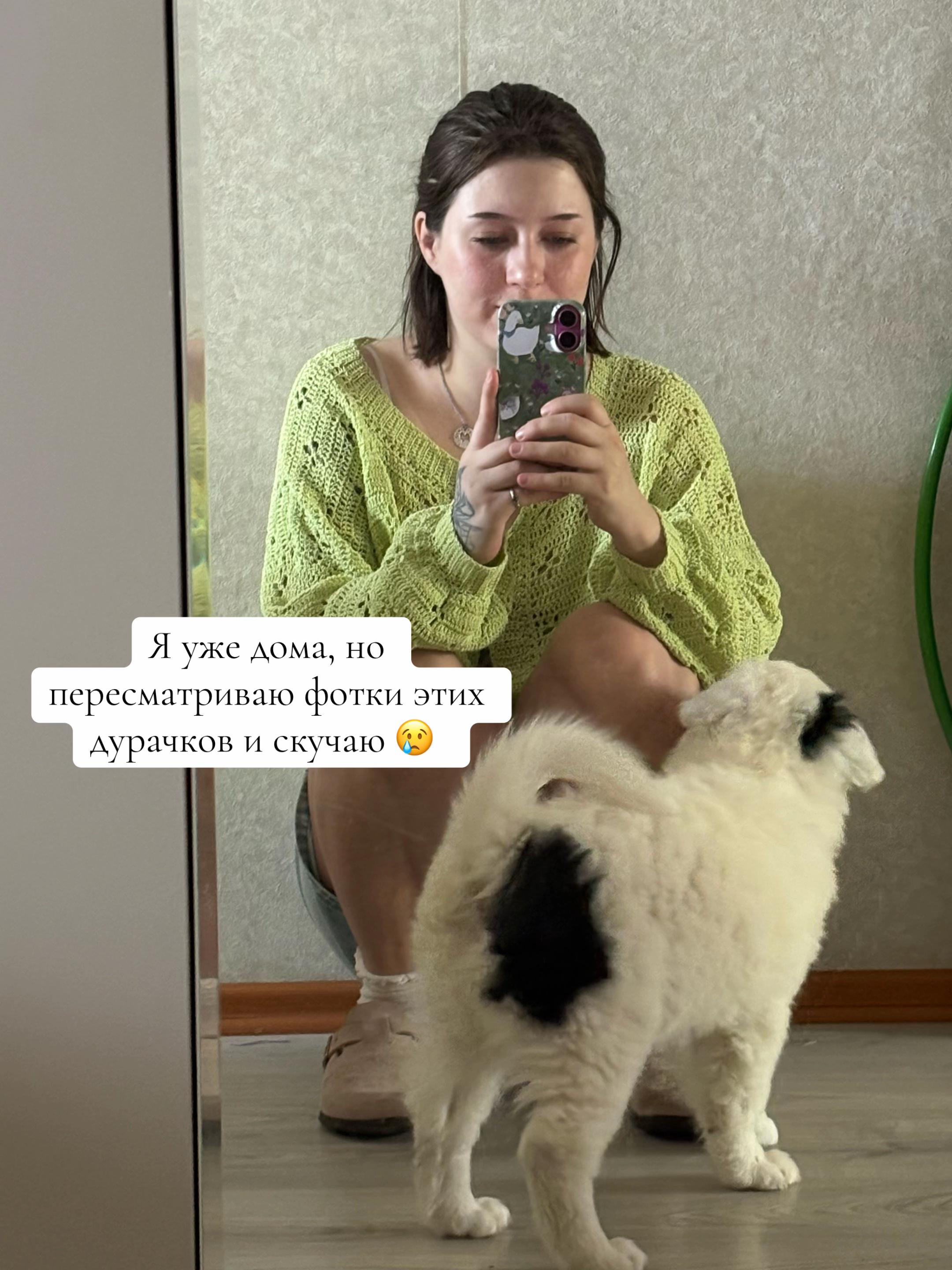 @svetulik
