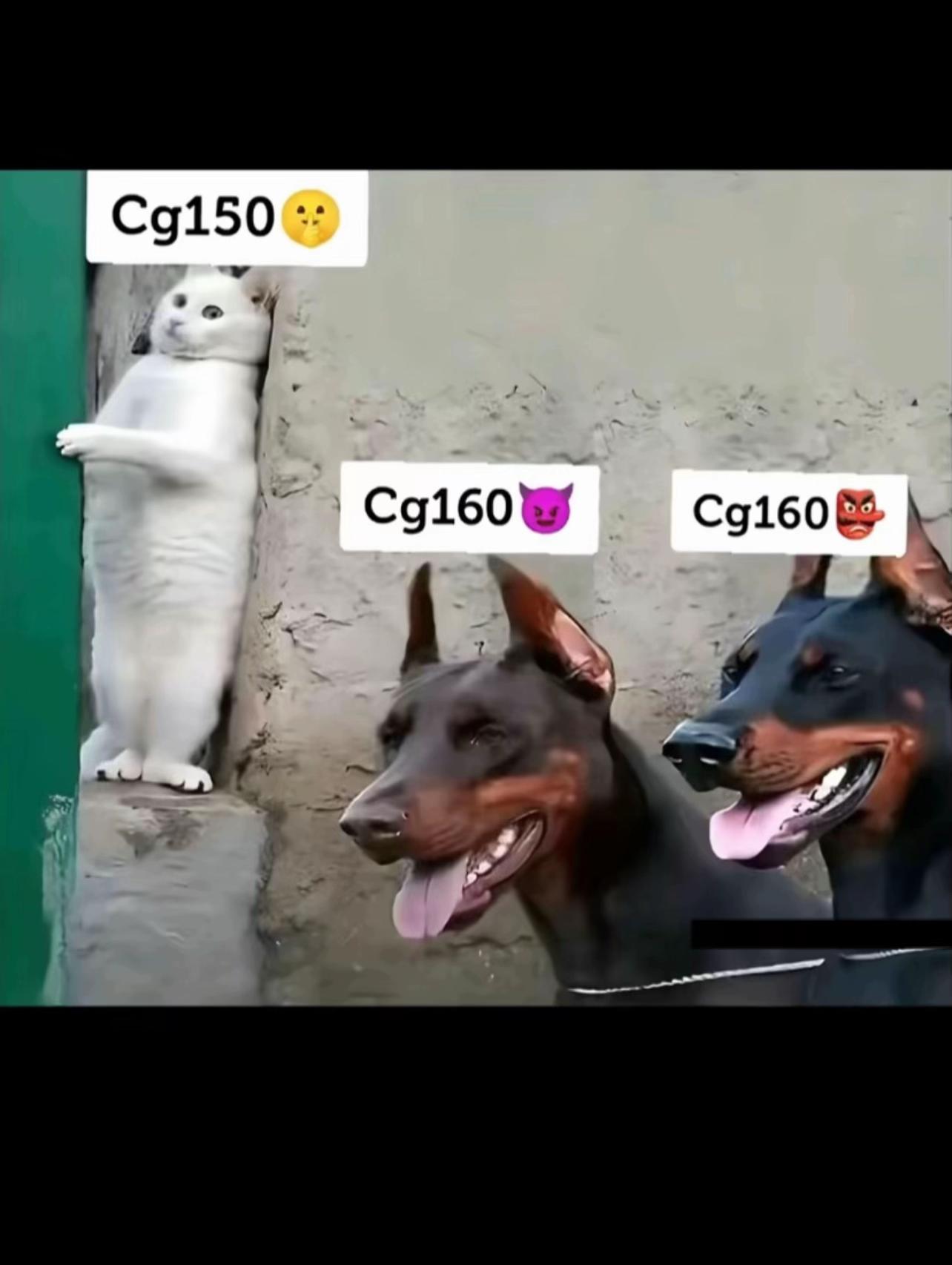 @_wellington160