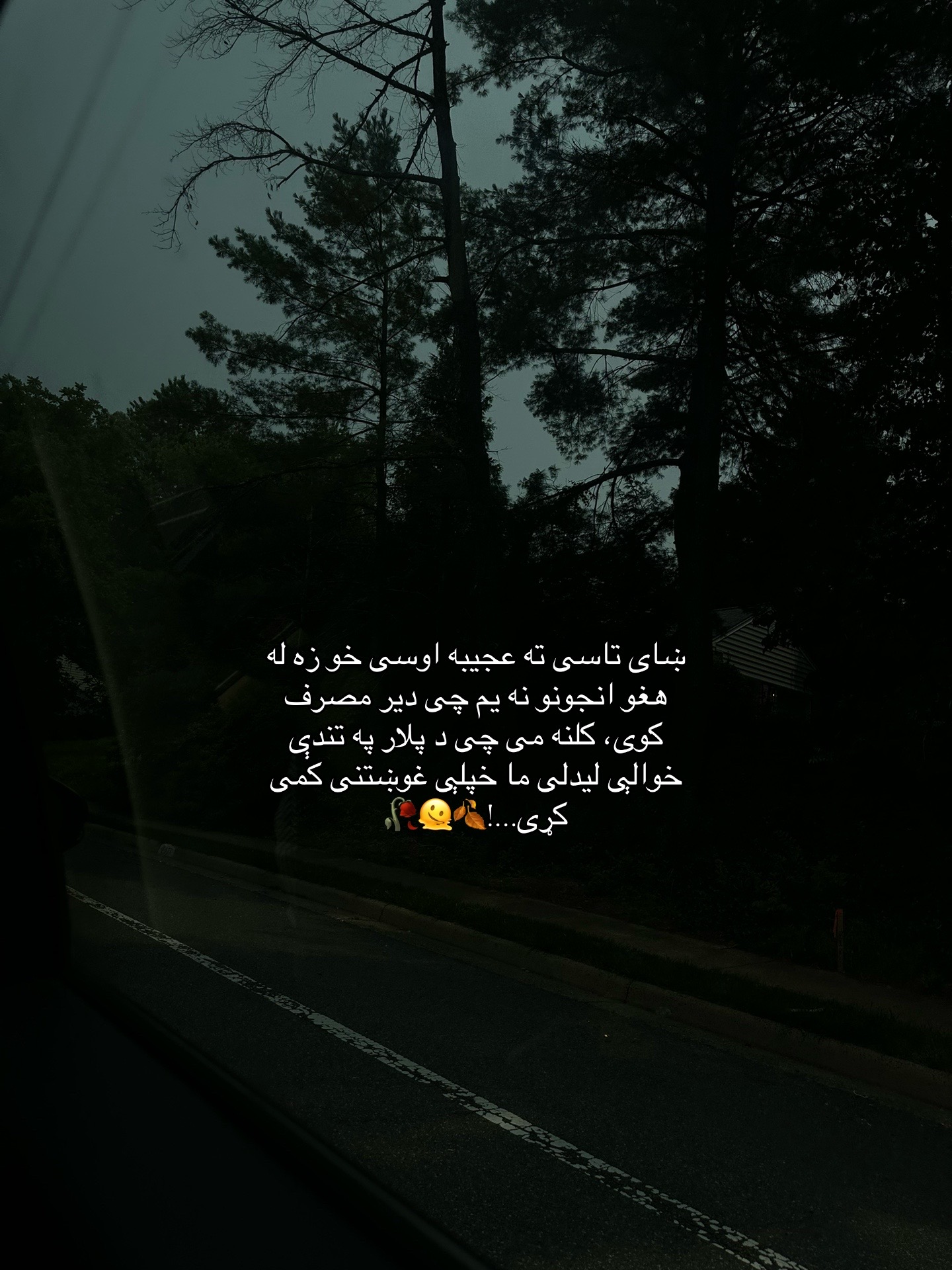 @Shåbo…🧚🏻♀️