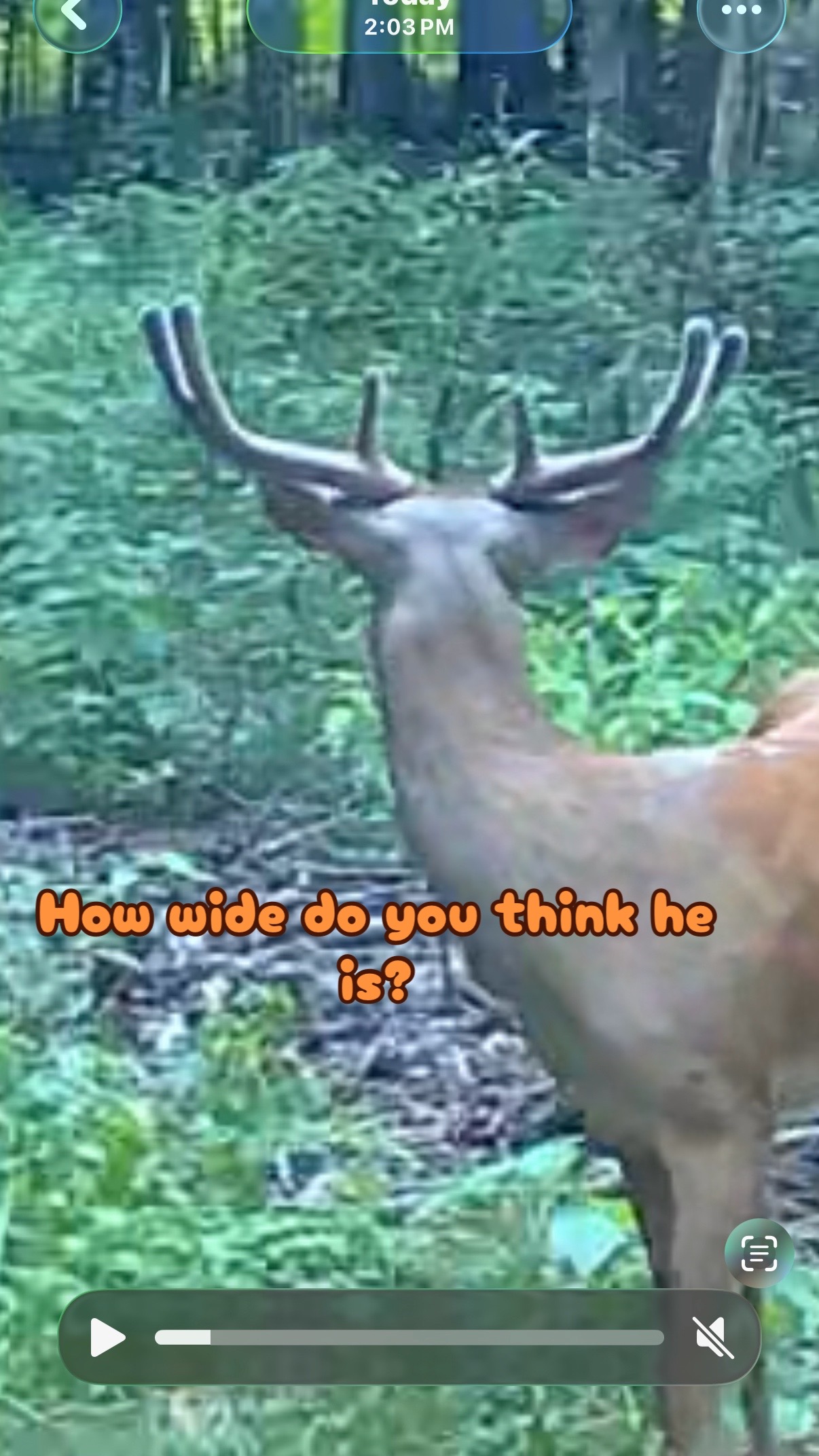 @Toi Batton_GIGI_WTBuckOutdoors