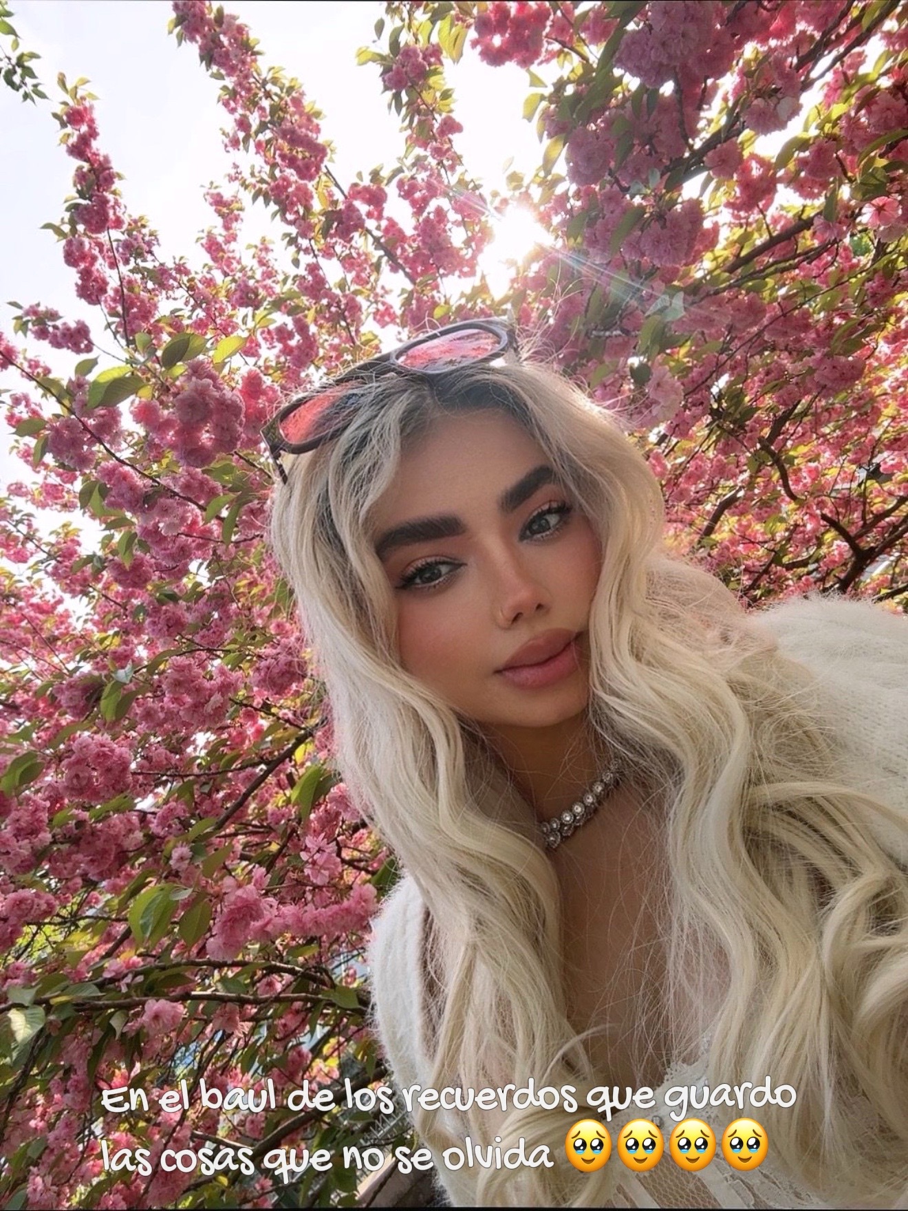 @Luisa López ✨🦁🌸