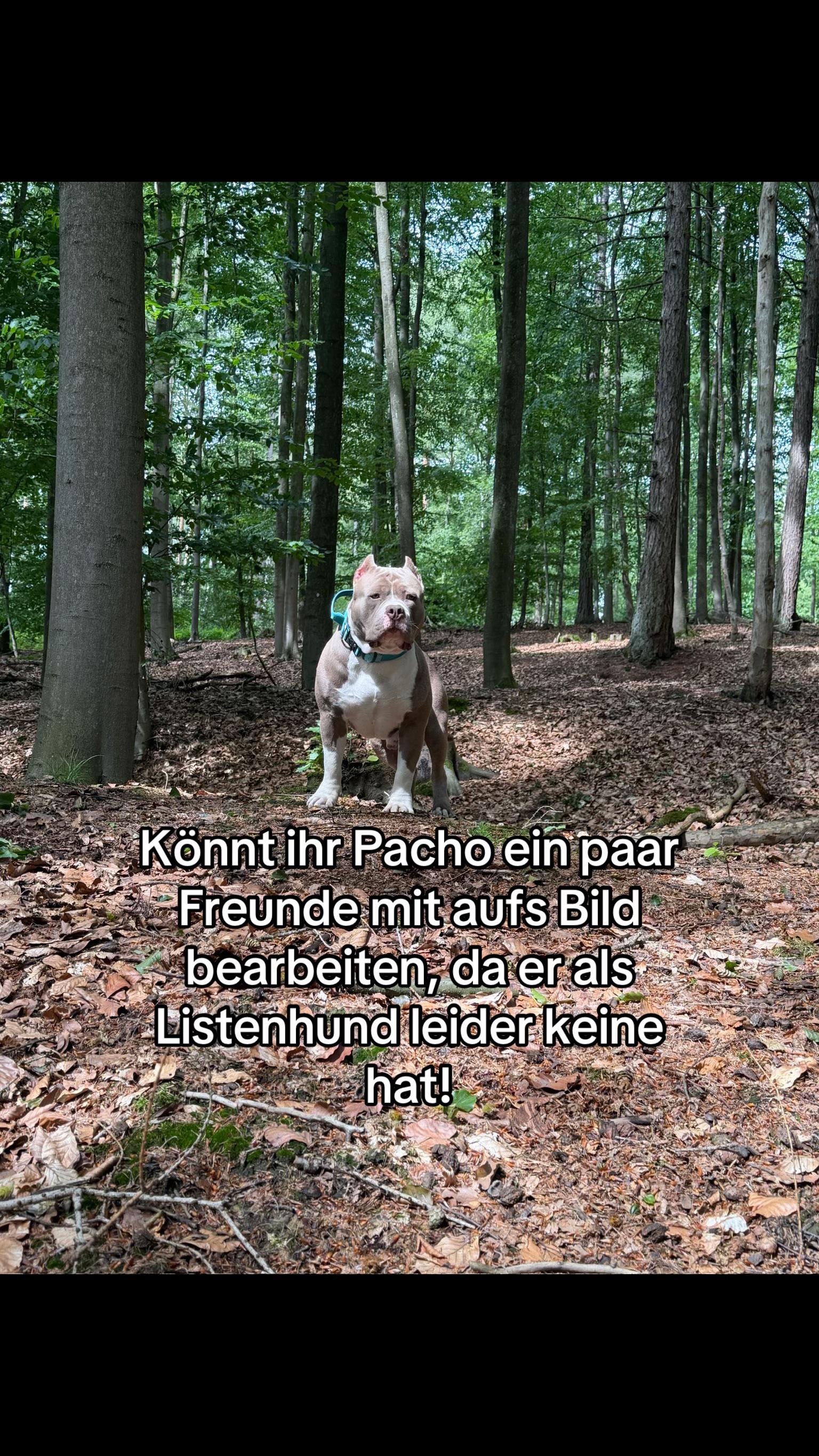@XXLBALU