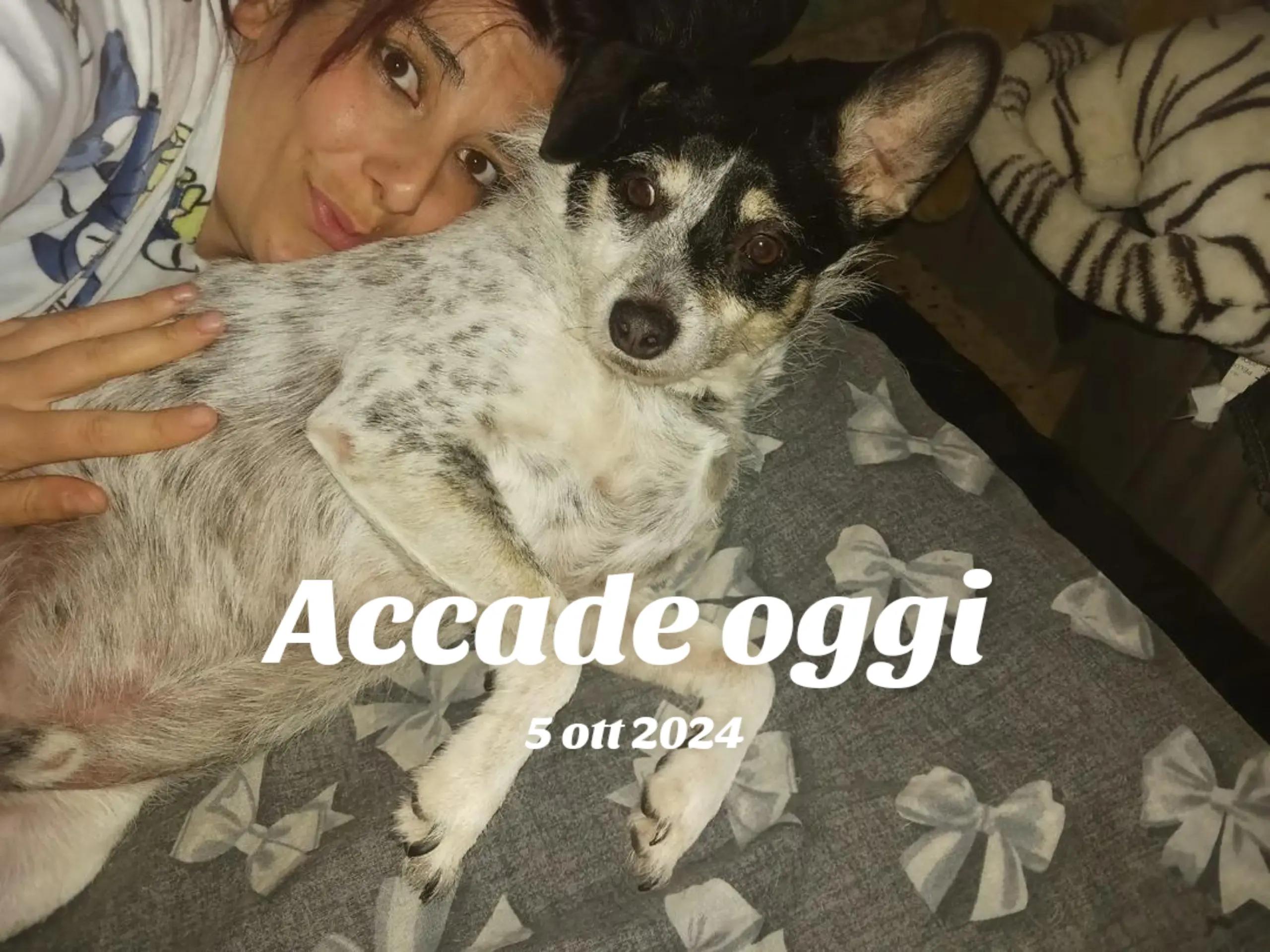 @NicaVero