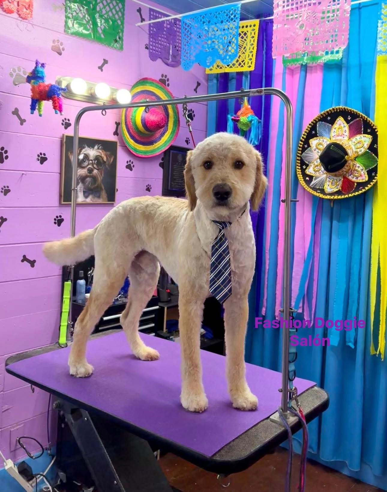 @fashion.doggie.salon