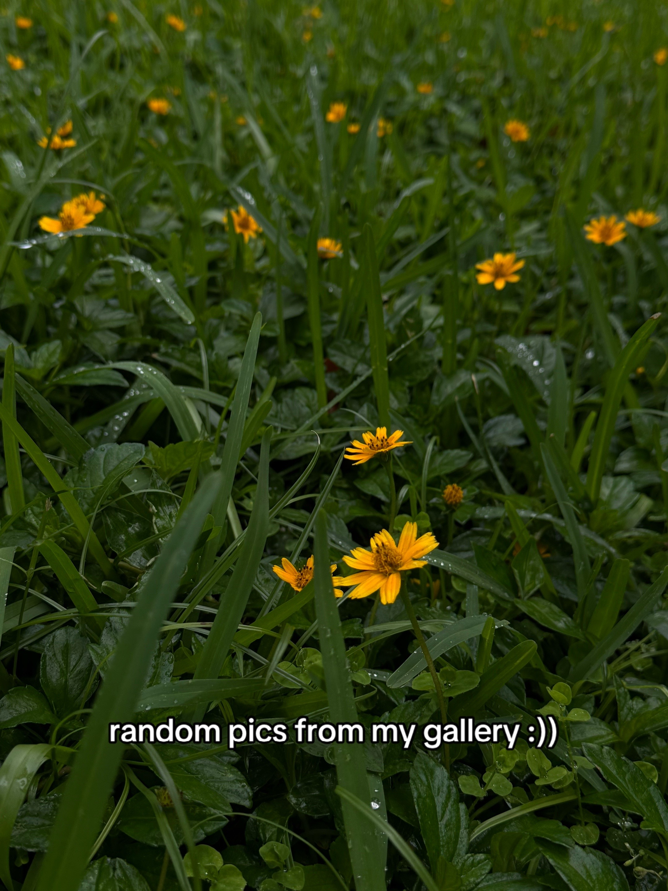 @katieee