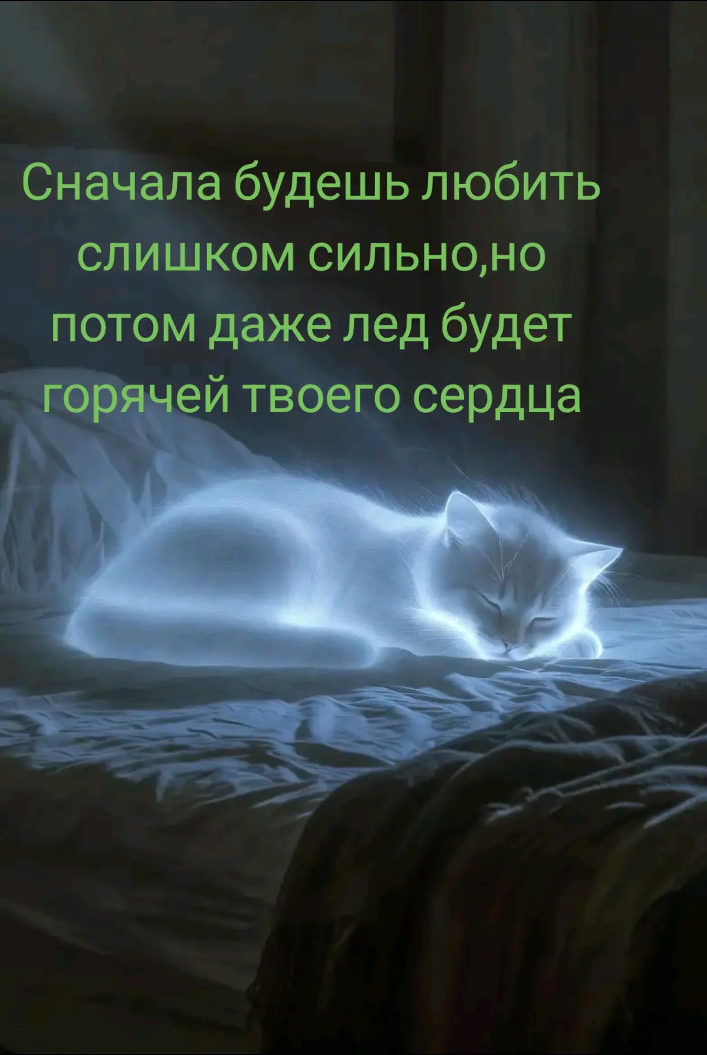 @Introvert
