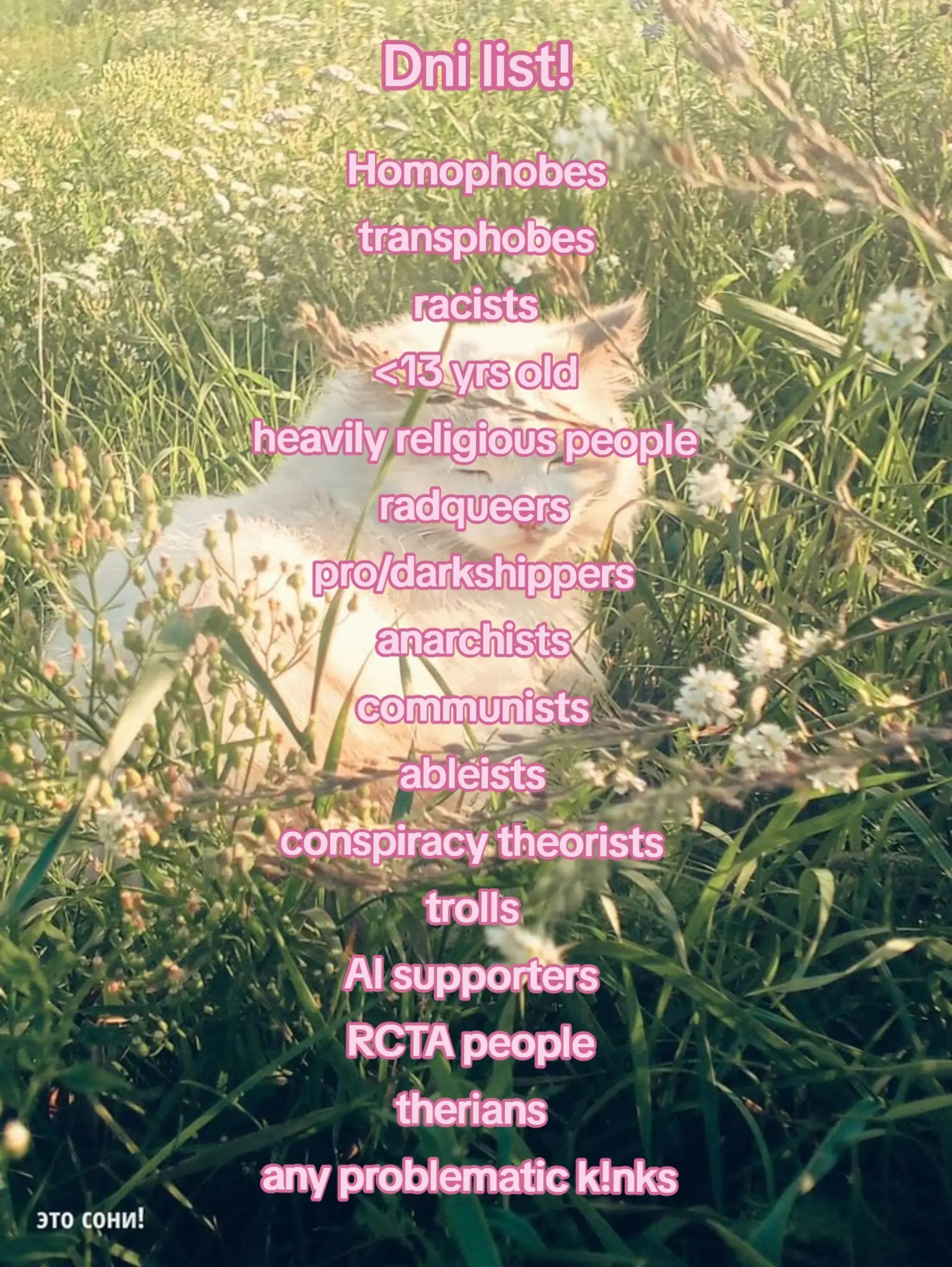 @kiralp