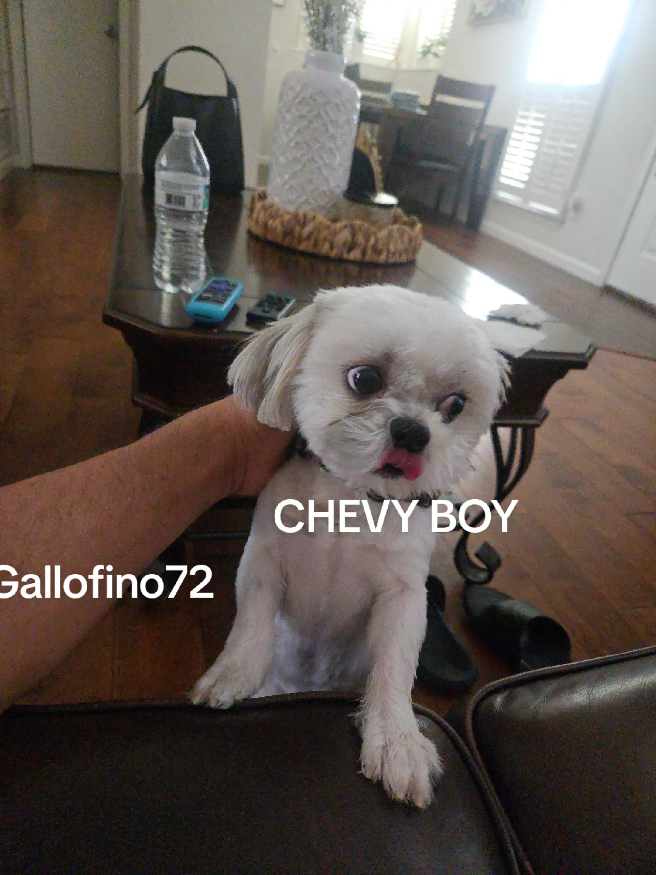 @ElGalloFino