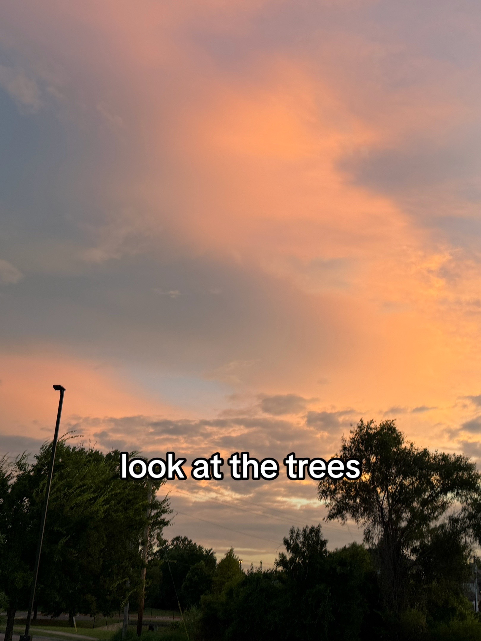 @Jaxon 🦇🌕