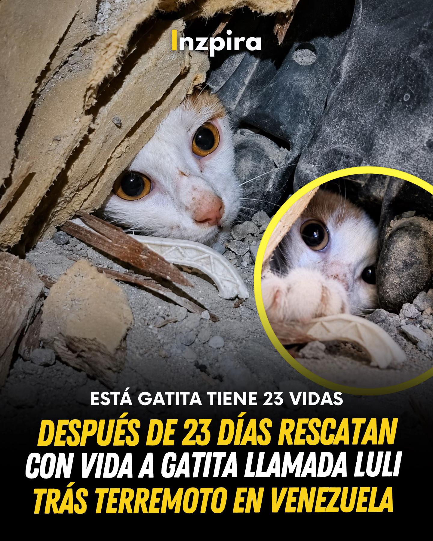 @inzpira.oficial