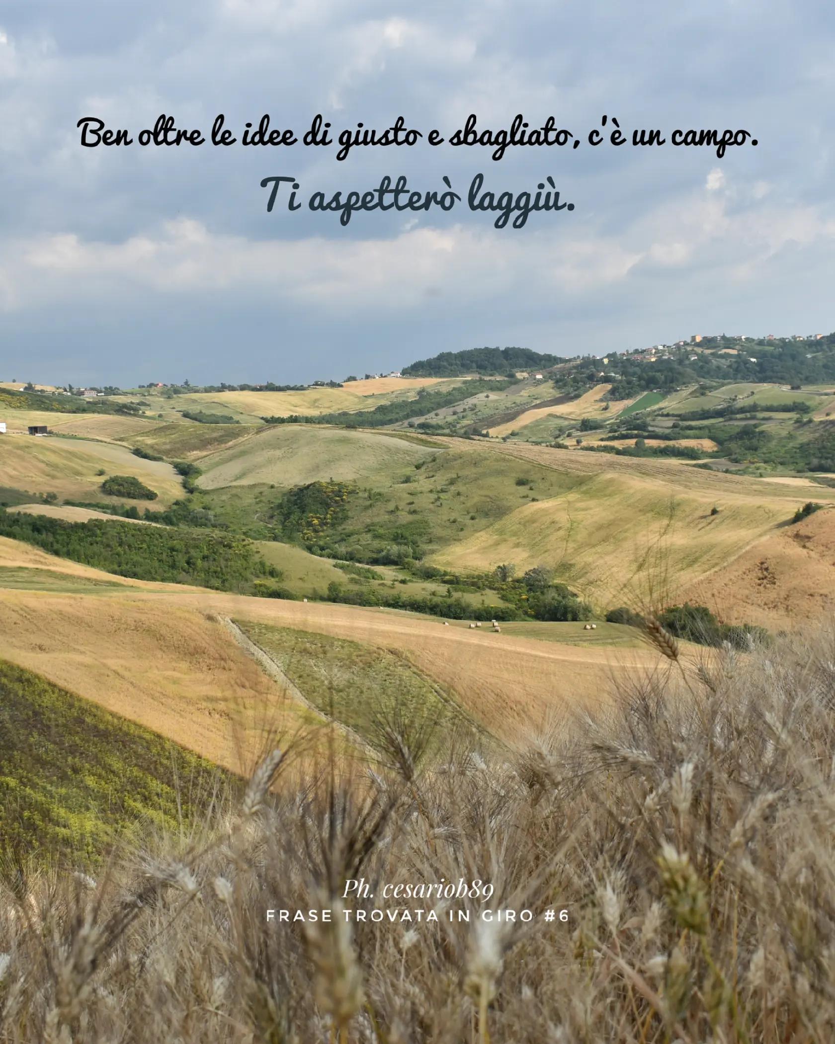 @Cesario, Food & Travel Creator