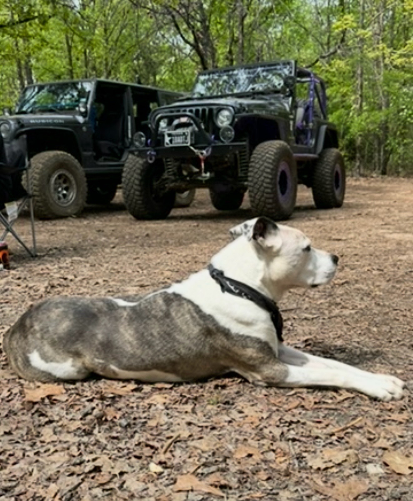 @obsessed_jeep_girl
