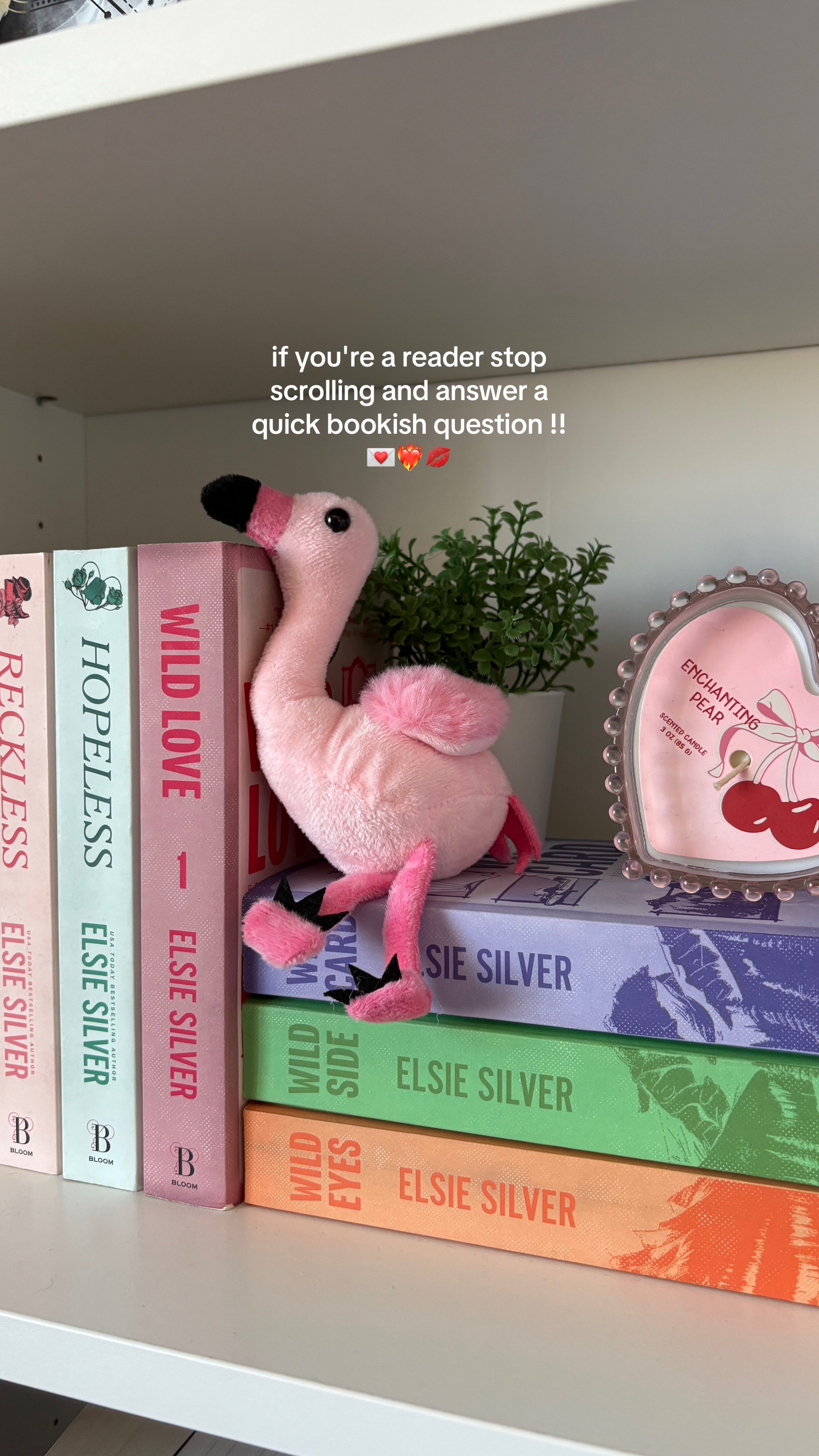 @areads..luv 💌