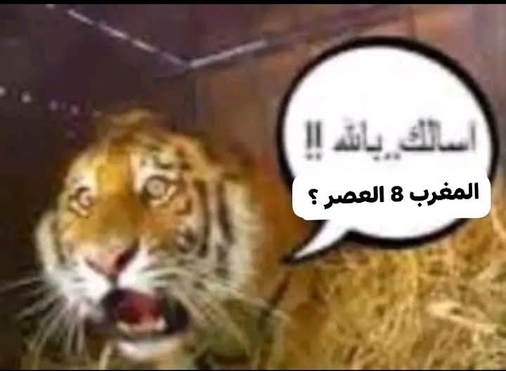 @مَ