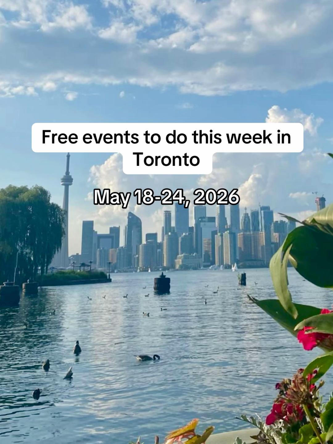 @Free In Toronto