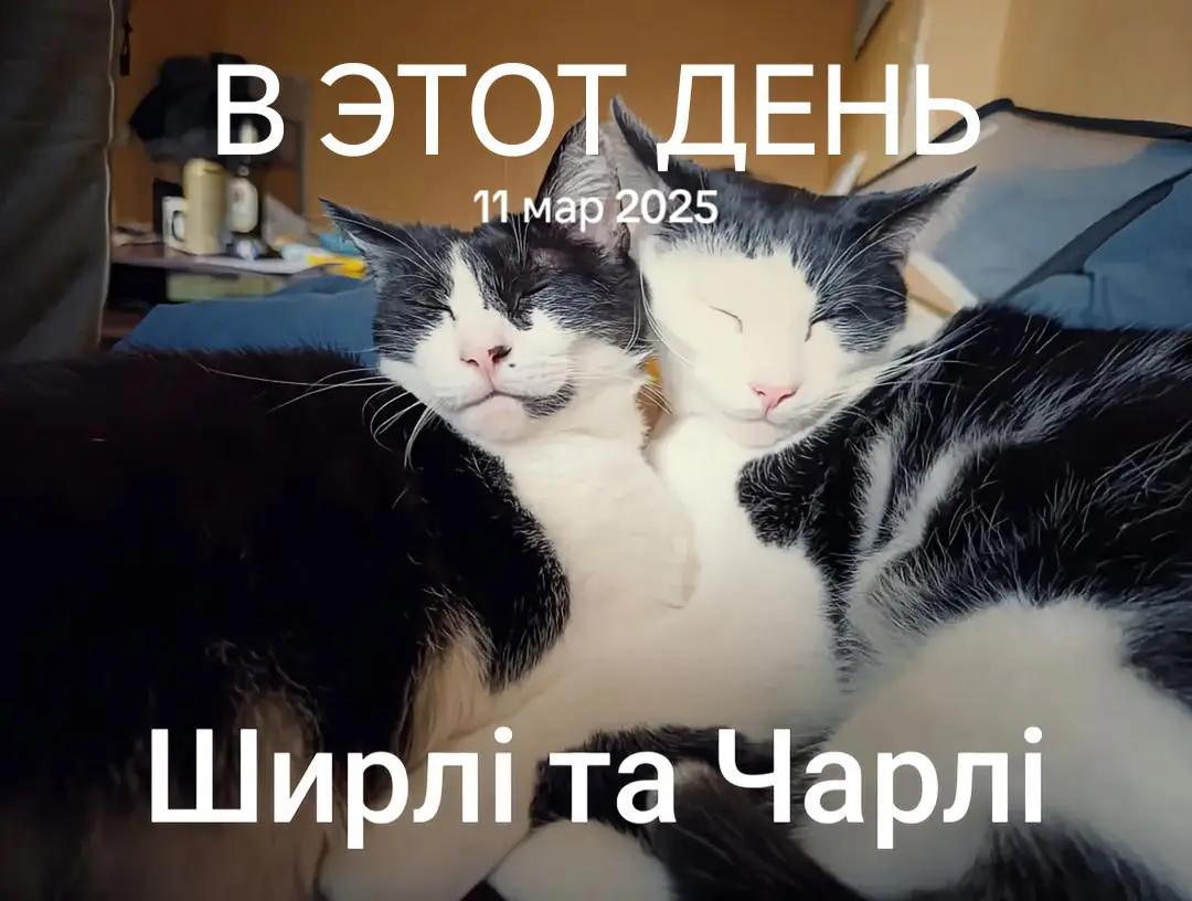 @VladExpert