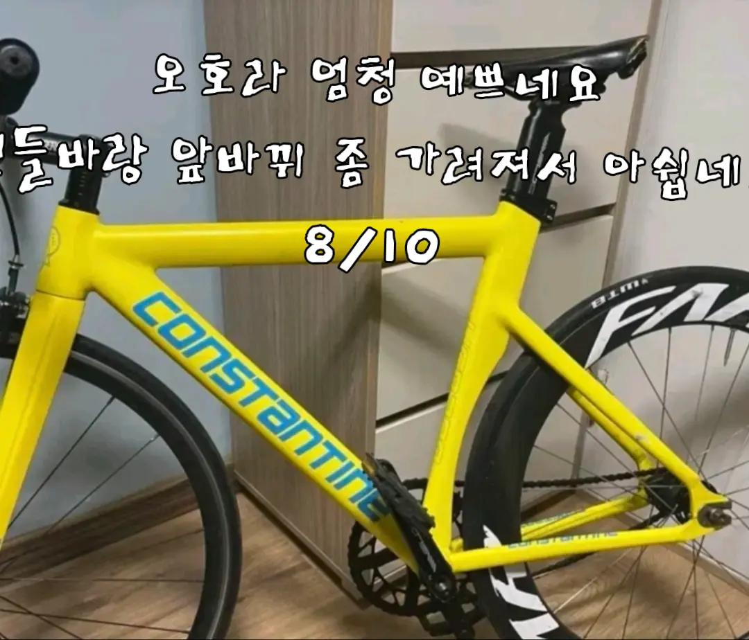 @안산 쓰나미