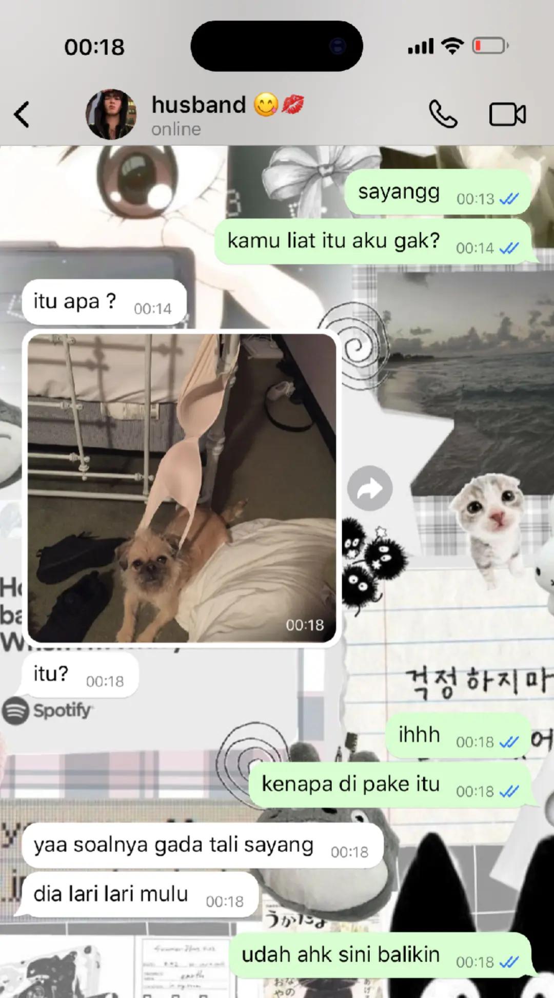 @chaa_๐๐๐โธโน