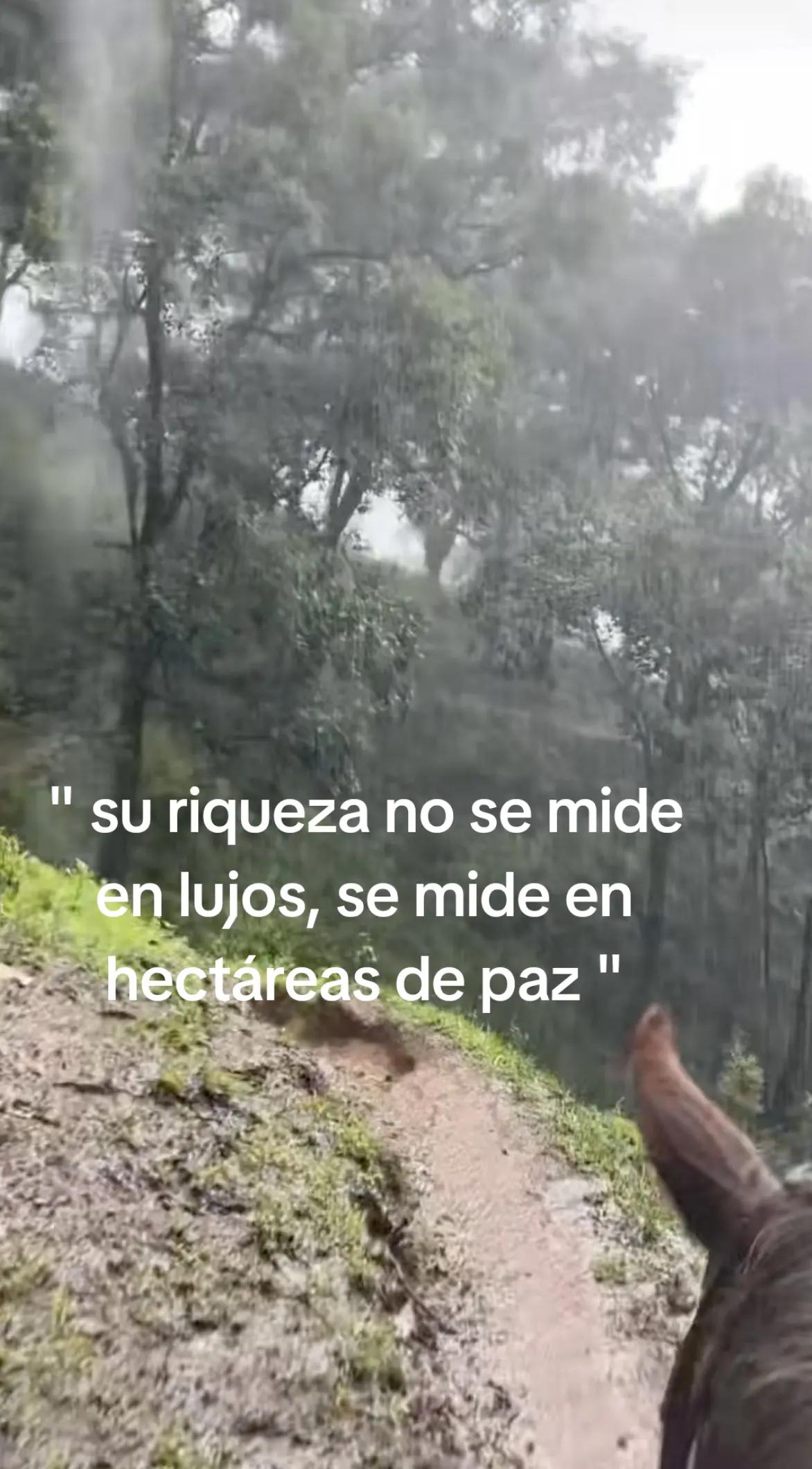 @Jose Miguel