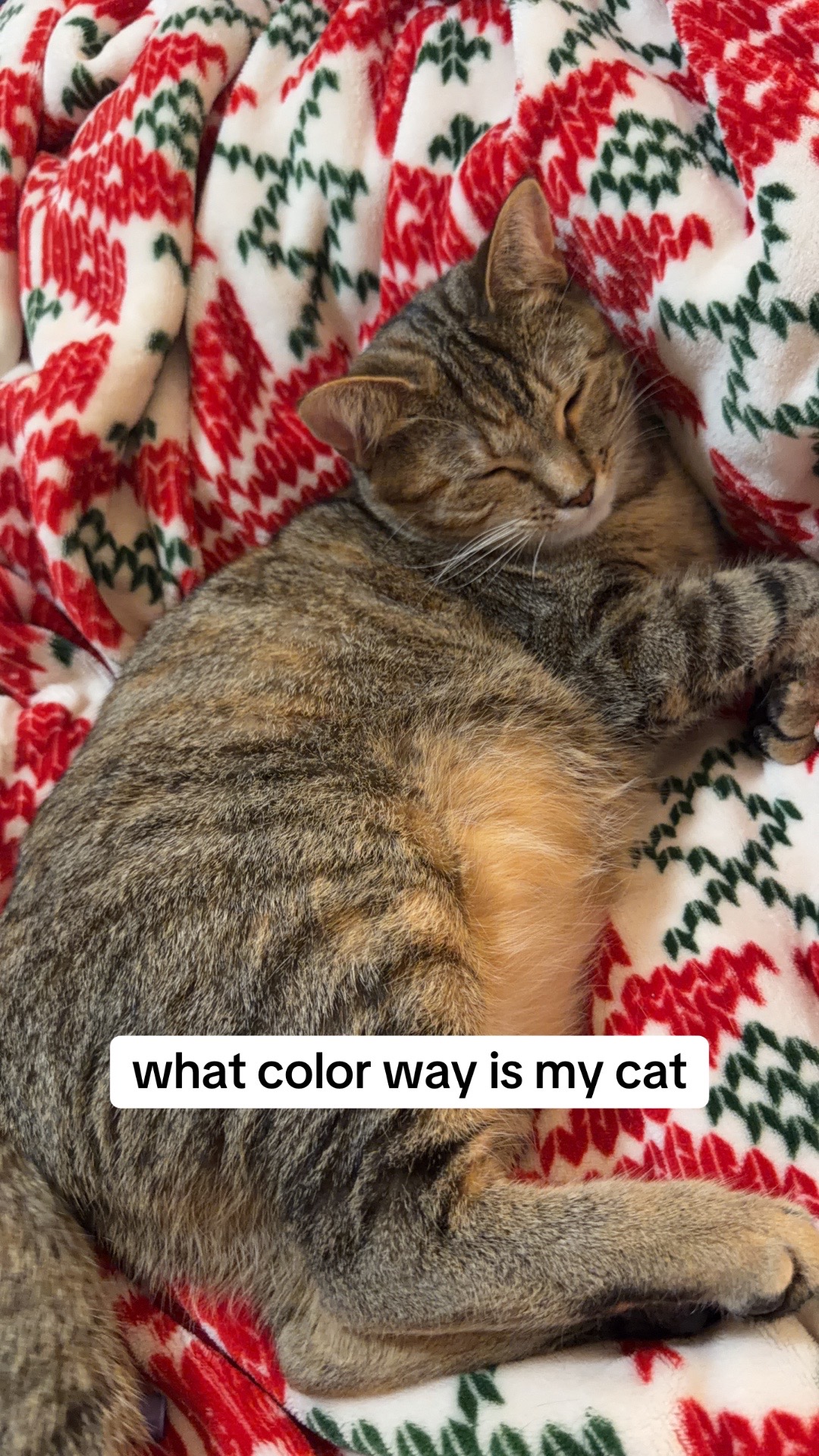 @OG🪄😻🫶🍒🤸🪩