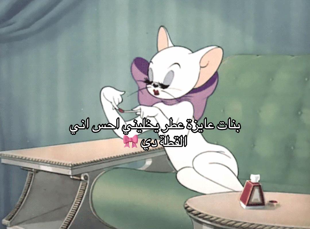 @Shokran Next ⭐️