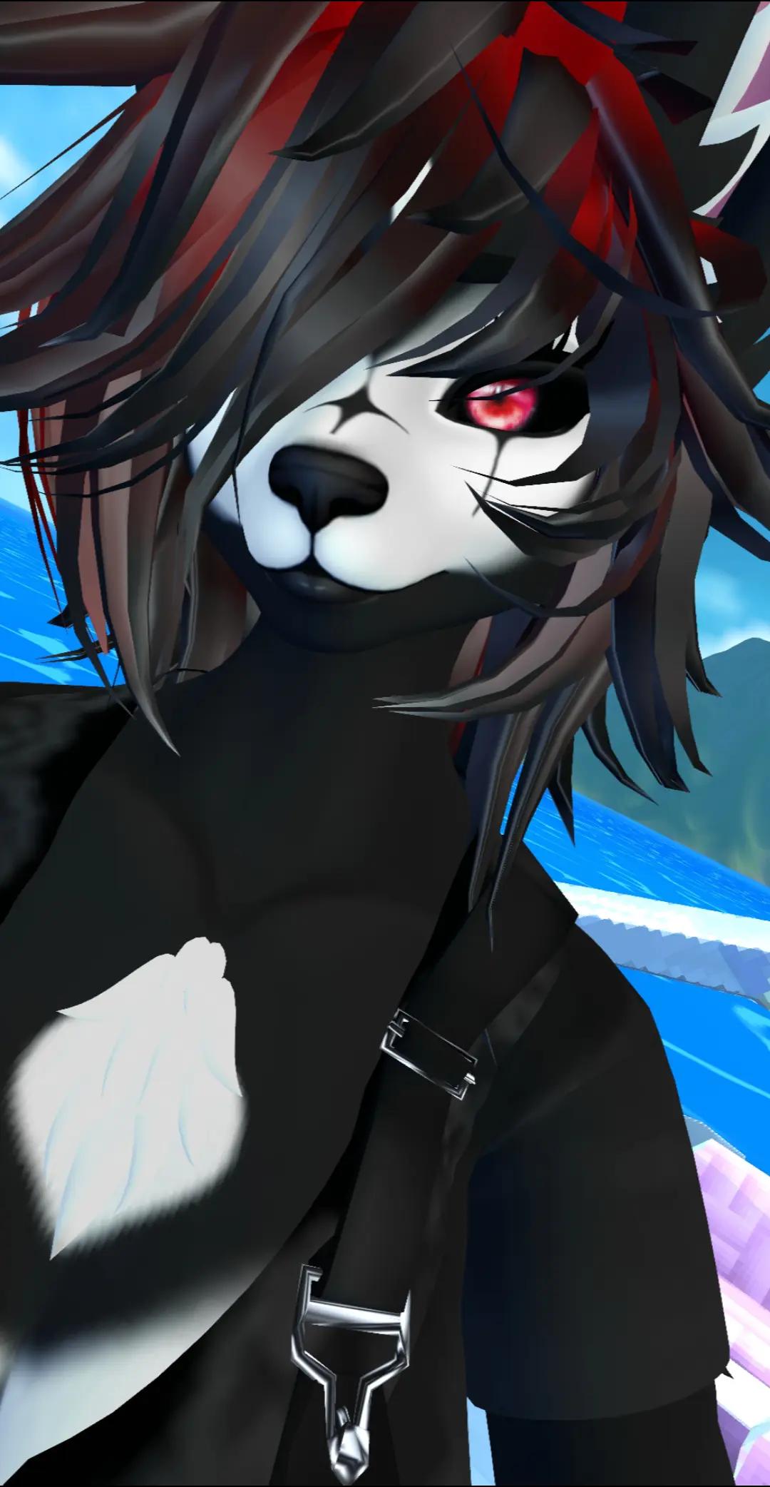 @☆⋆☾Megan Pups☽⋆☆