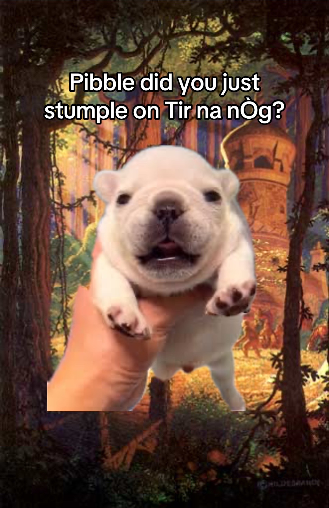 @Fortnitespoon63