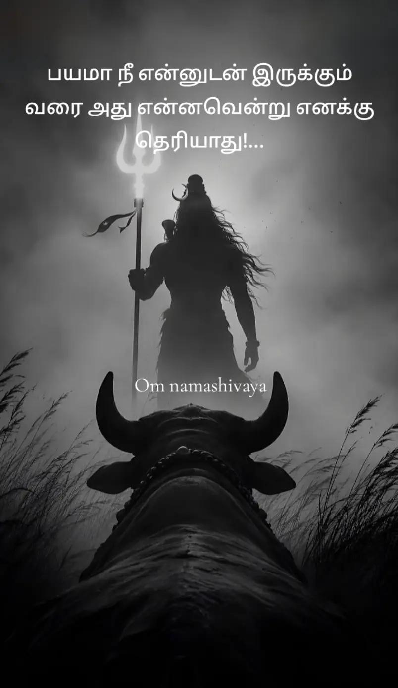 @🌜మెష్నాగా🌛