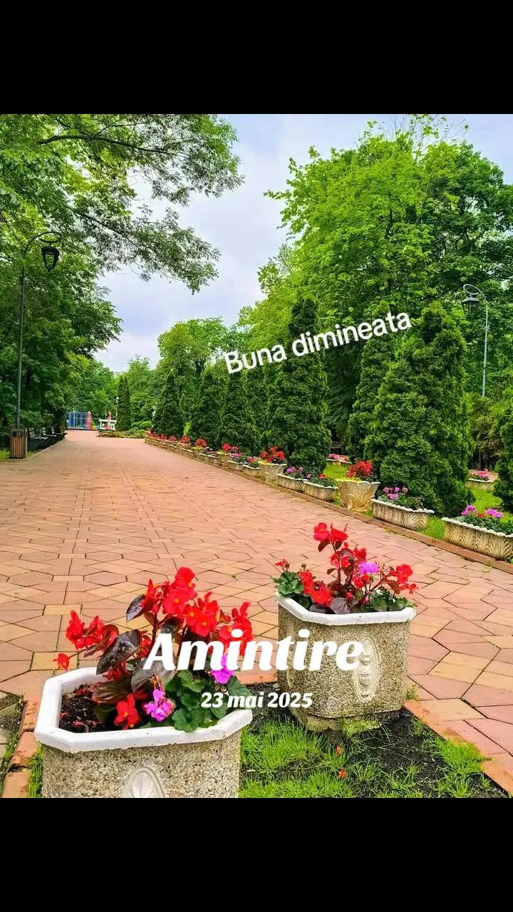 @Paula