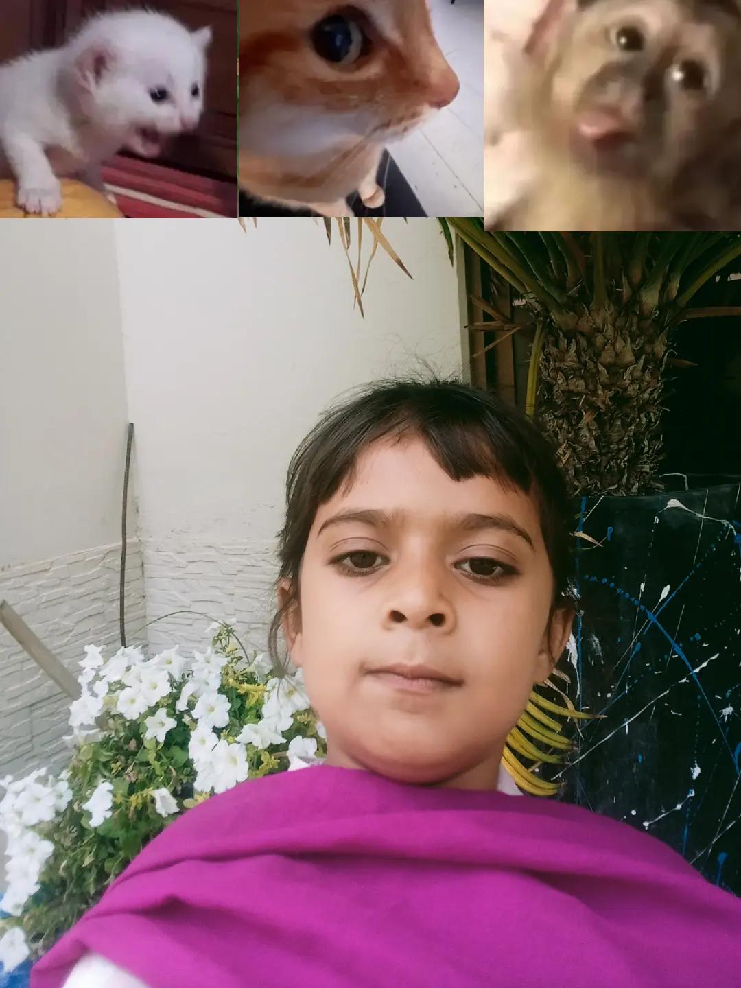 @MHaseeb