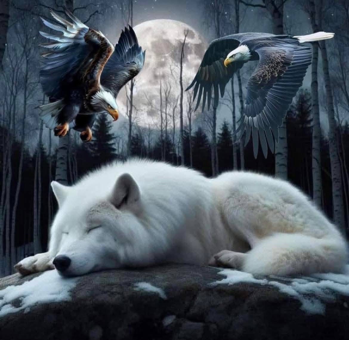 @alphafierceshadowking