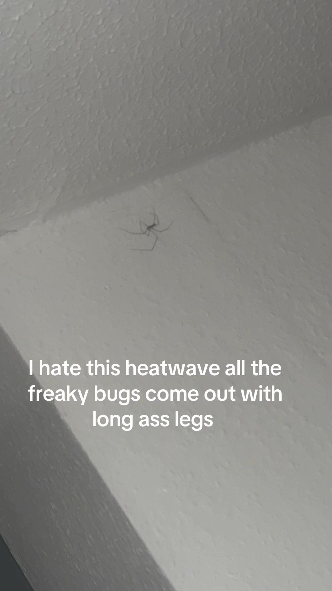 @𝐉𝐞𝐬𝐬 🦇