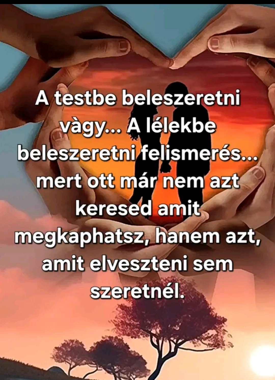 @Meнди